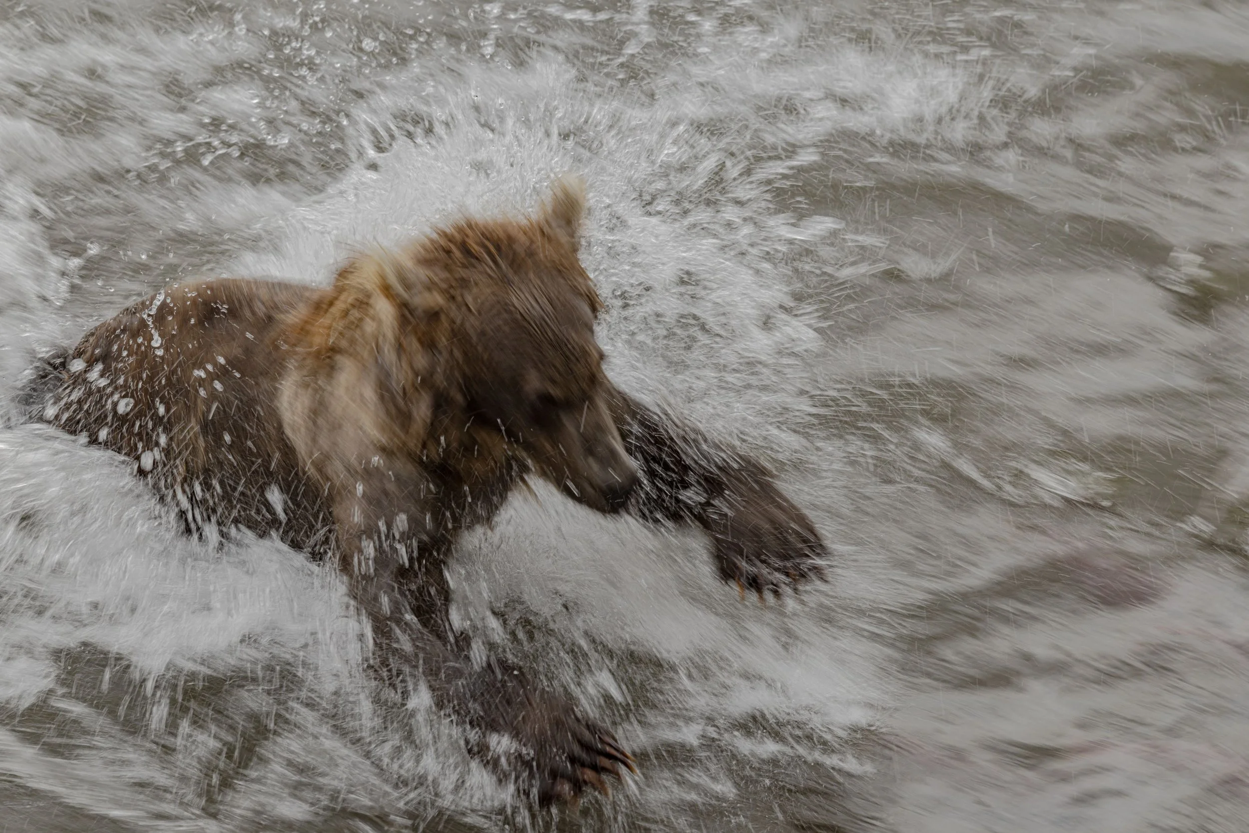 "Got You" by Ha Si Hung (SH)