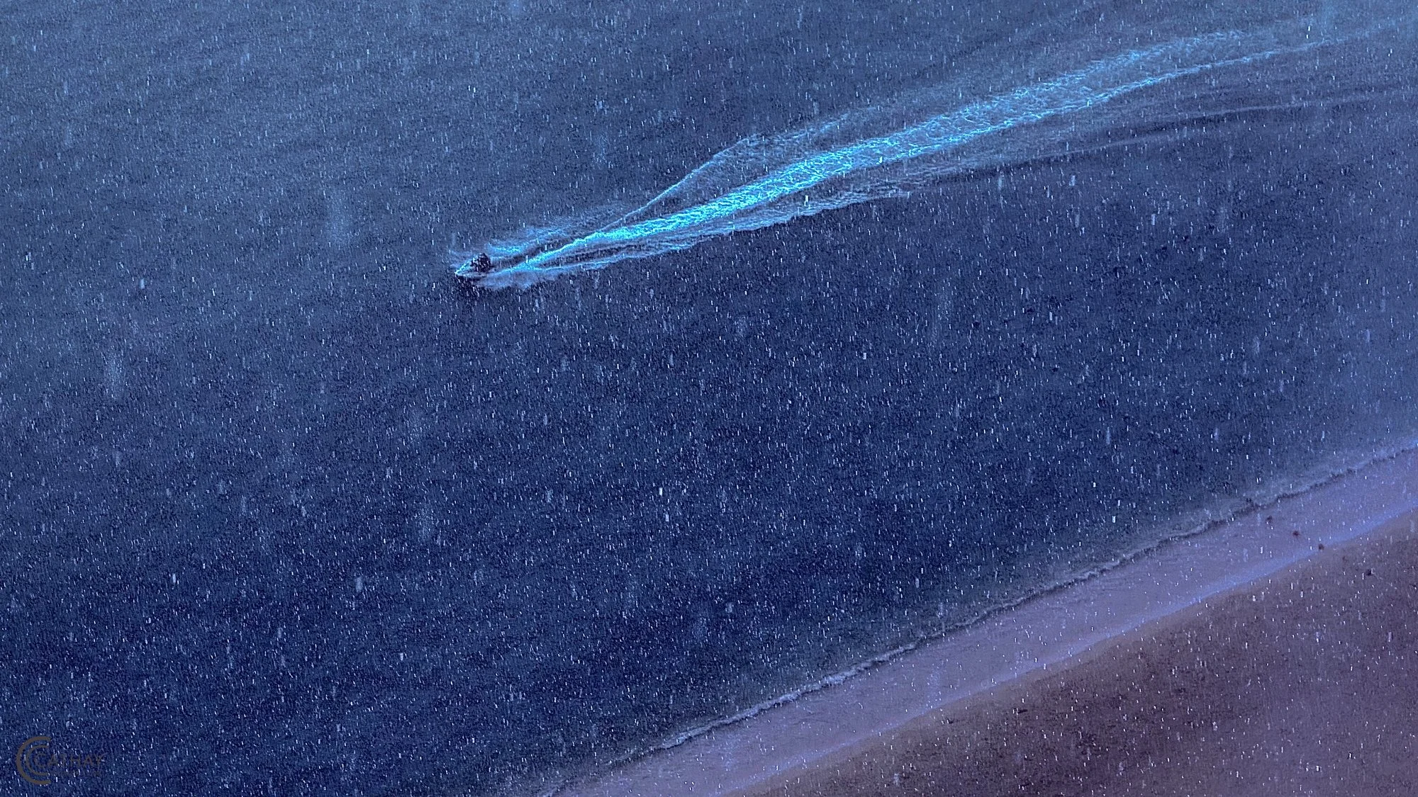 "A Speedboat in the Rain" by Suzy Shi