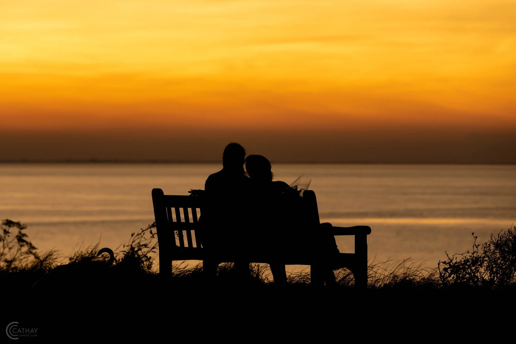 "Sunset Lovers" by Col Sim