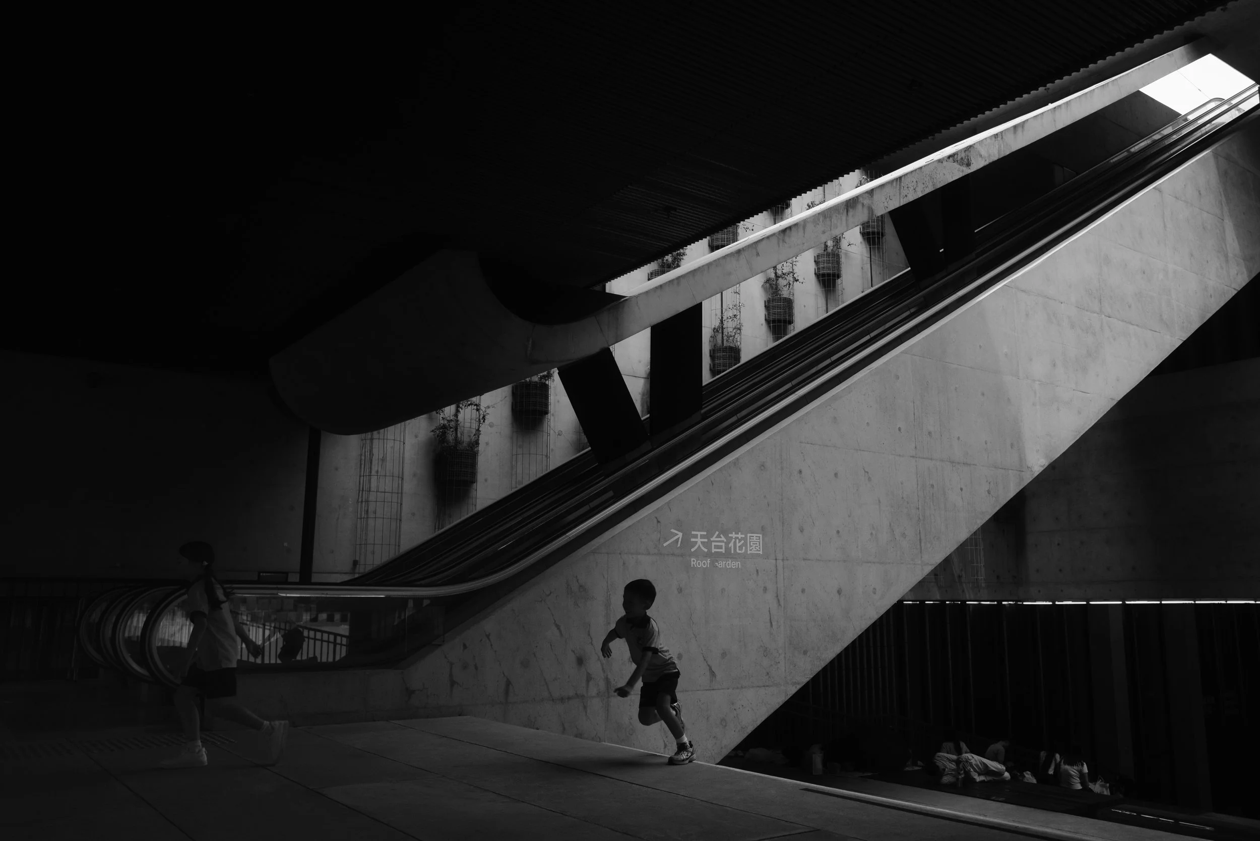 "Chase" by Lukasz Wieslawski