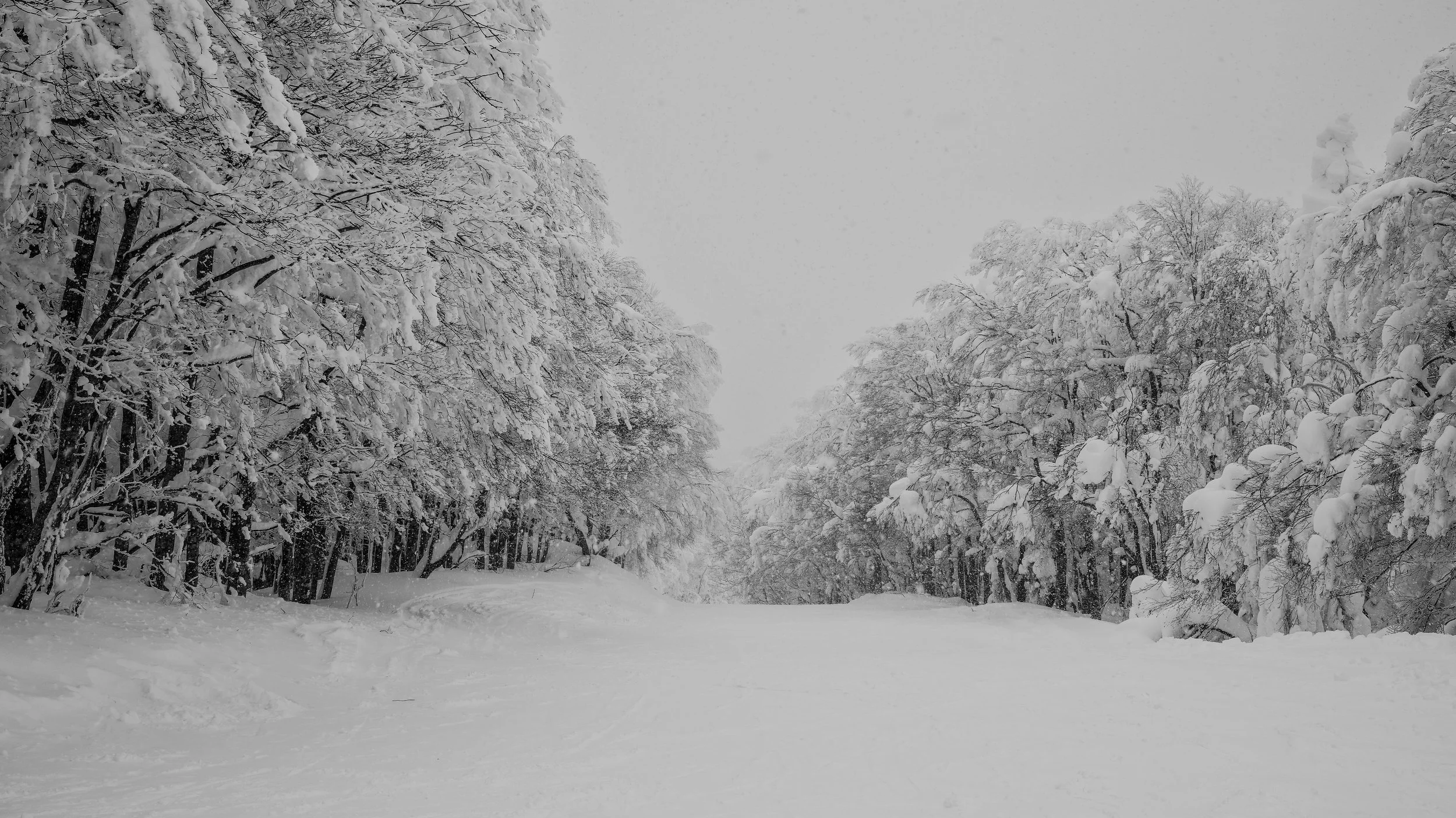 "XTFJ0522" by Sun Leung