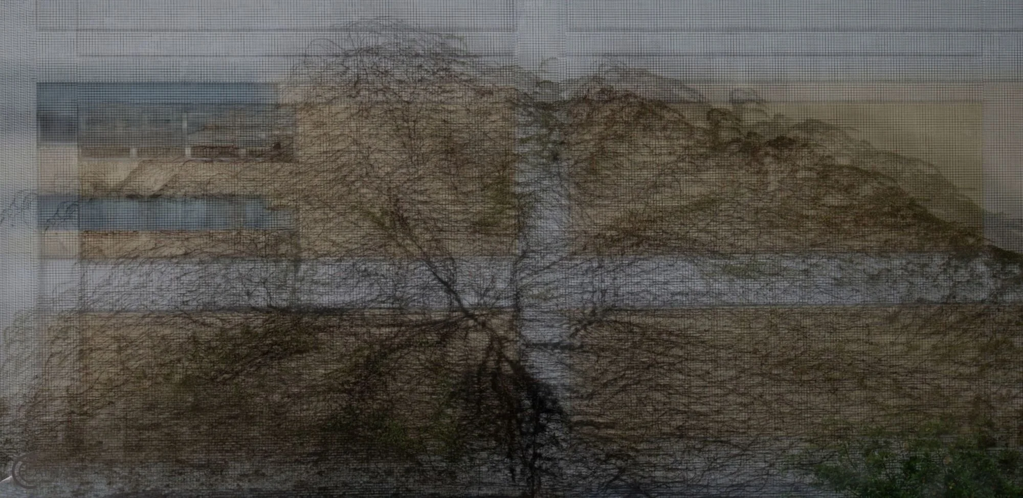 "Tree on Wall" by Ha Si Hung (SH)