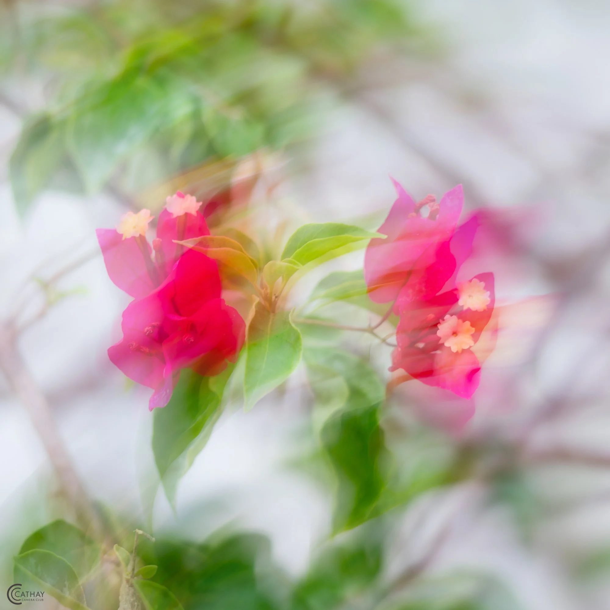 "Flower Painting" by Bharat Khemlani
