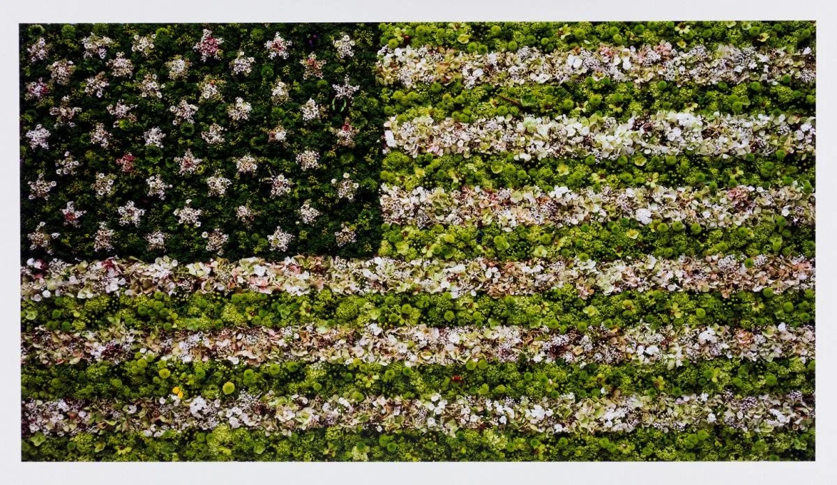 Vik Muniz - America Now and Here: American Flag, 2009. Chromogenic print.