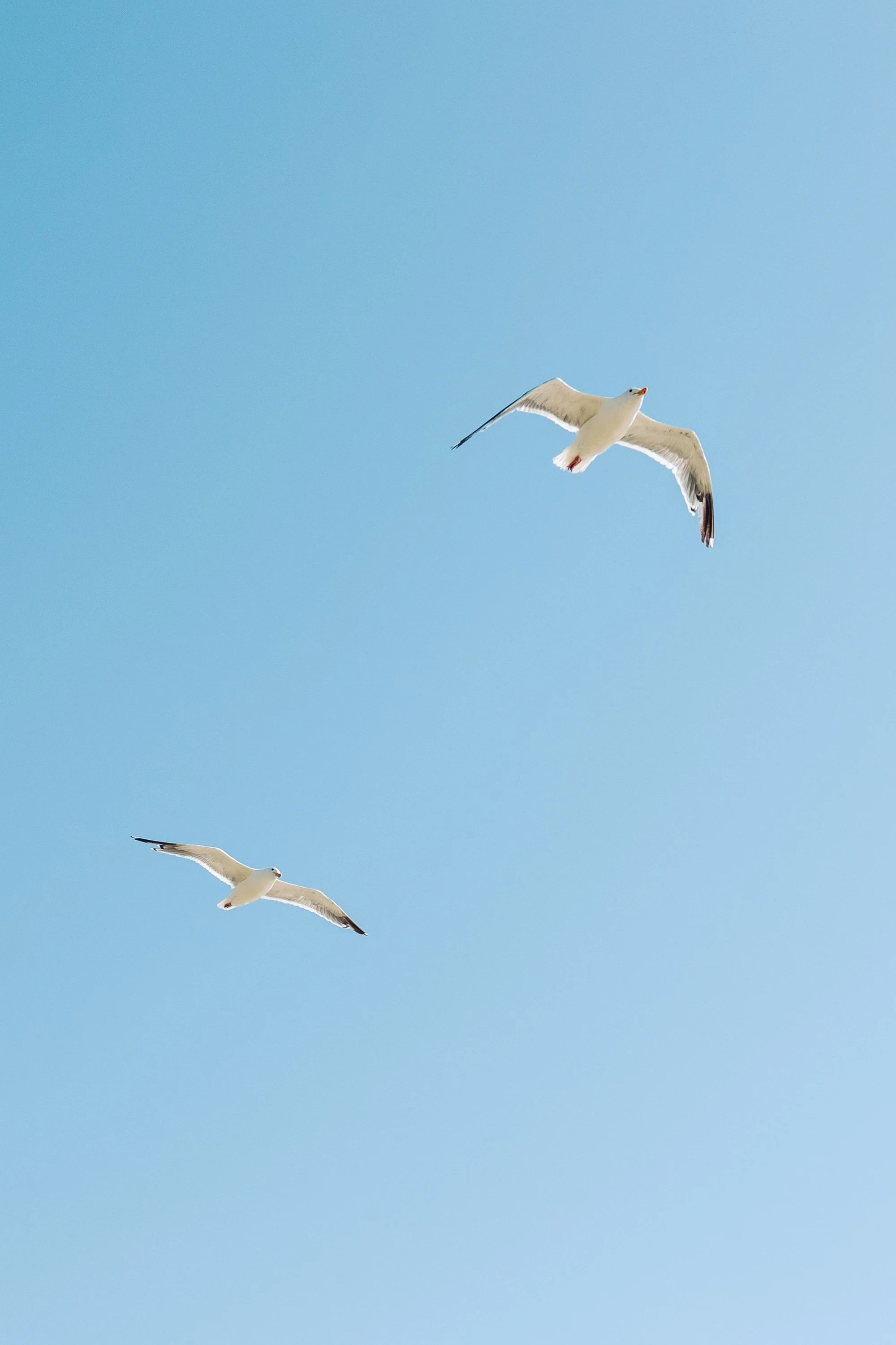 oregon-coast-sunset-elopement-photos.jpg