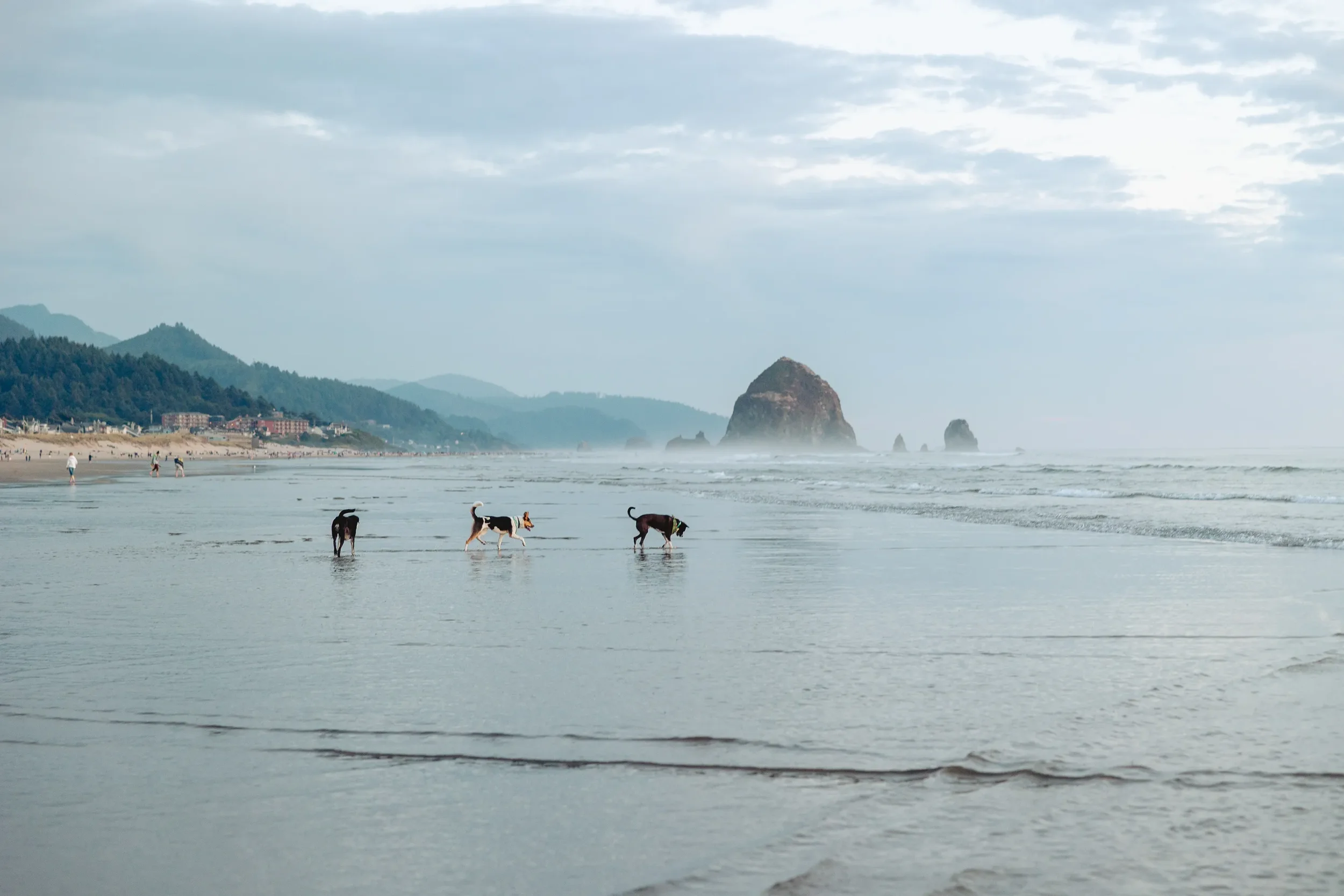 oregon-coast-sunset-elopement-photos-47_result.webp