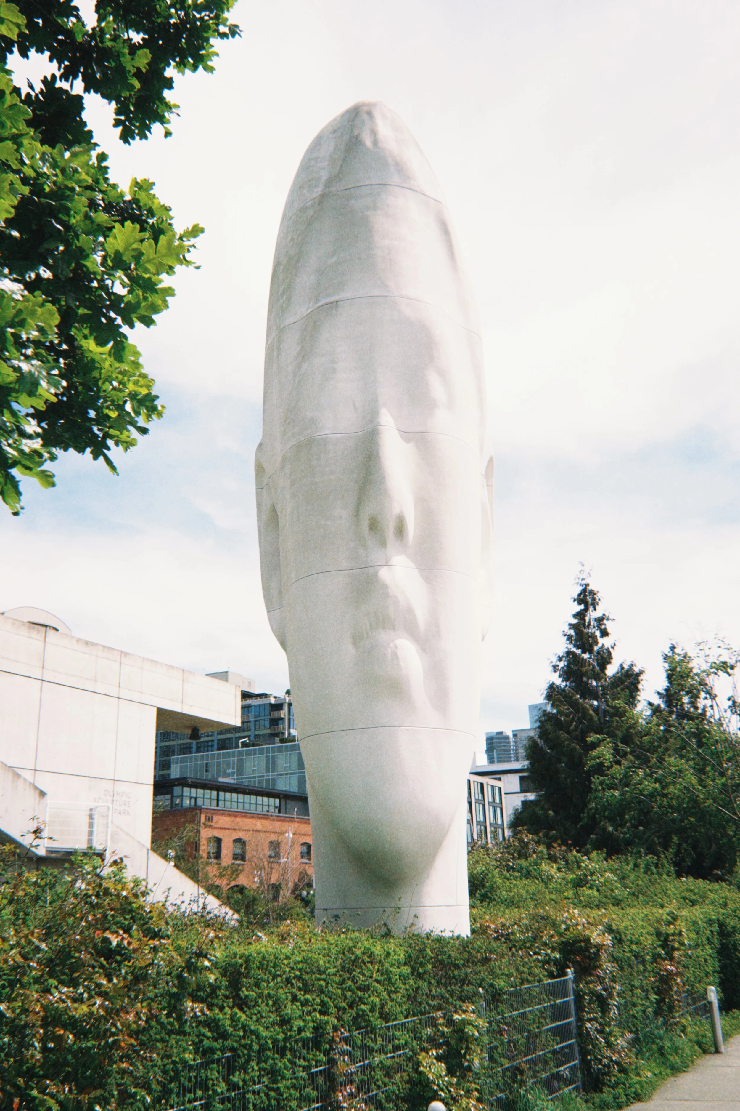 Visiting Seattle for the World Cup? Best Photo Spots &amp; Local Tips