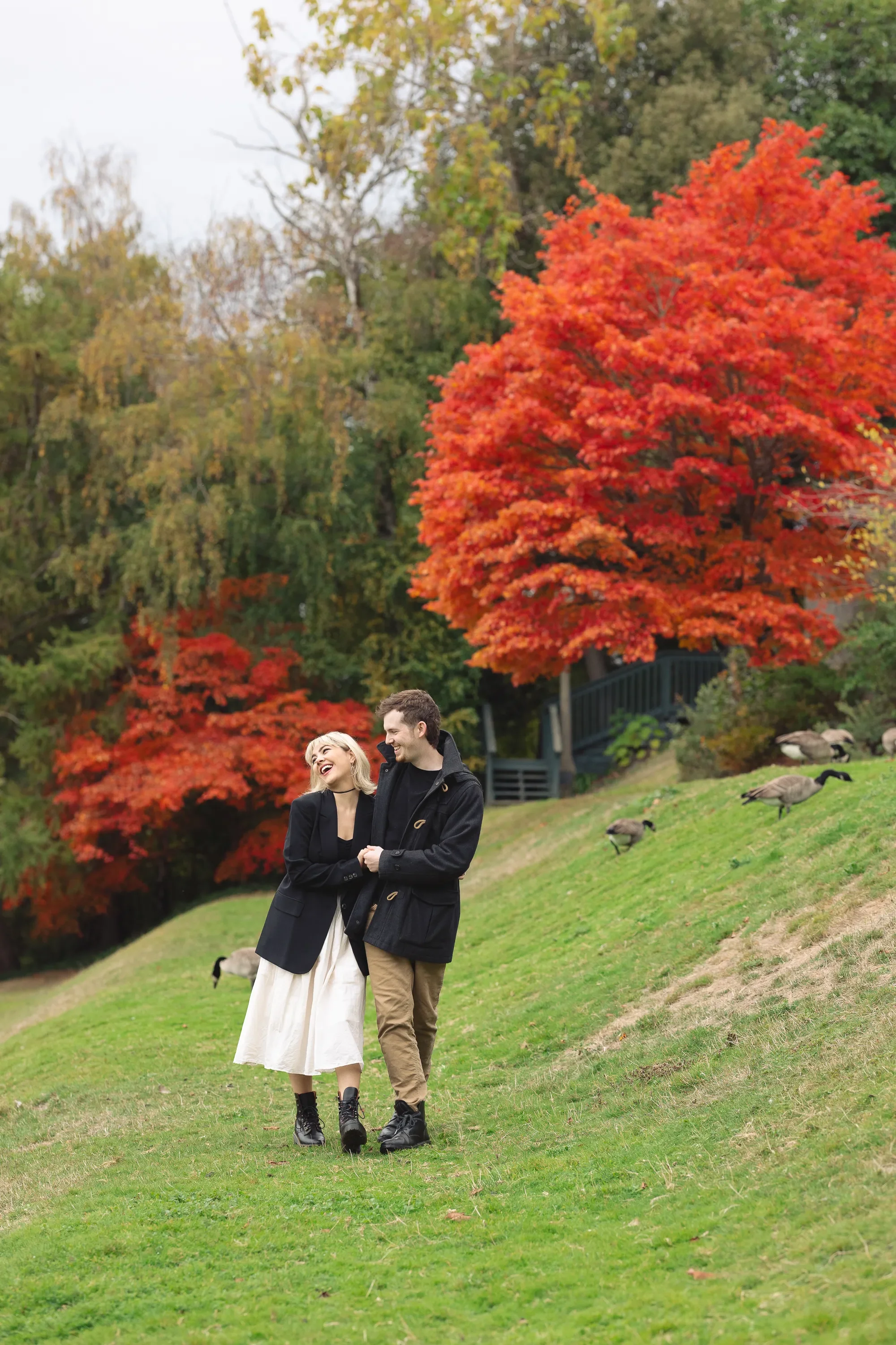 fall-engagement-photoshoot-ballard-locks-seattle.webp