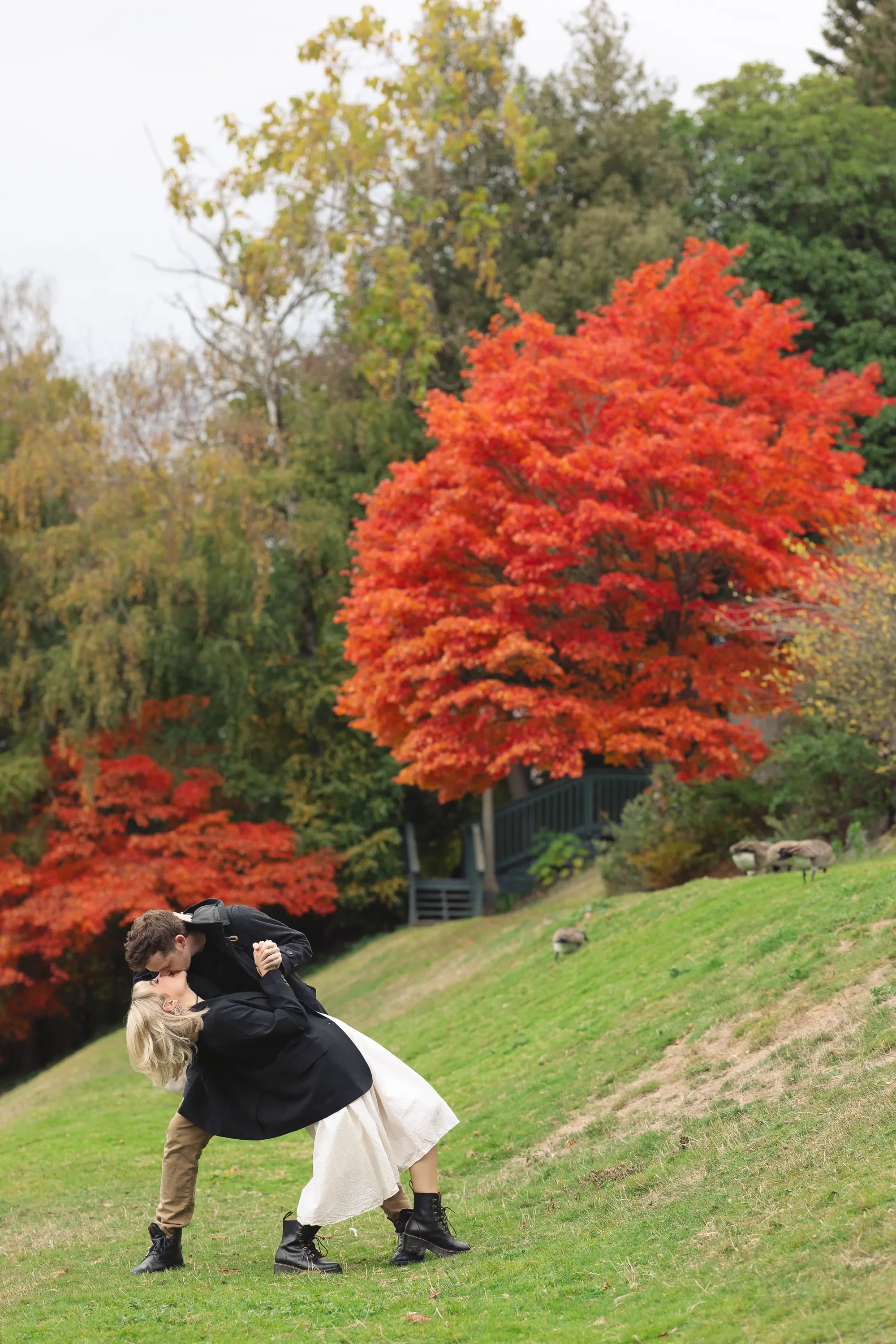 Fall Engagement Photos at Ballard Locks in Seattle