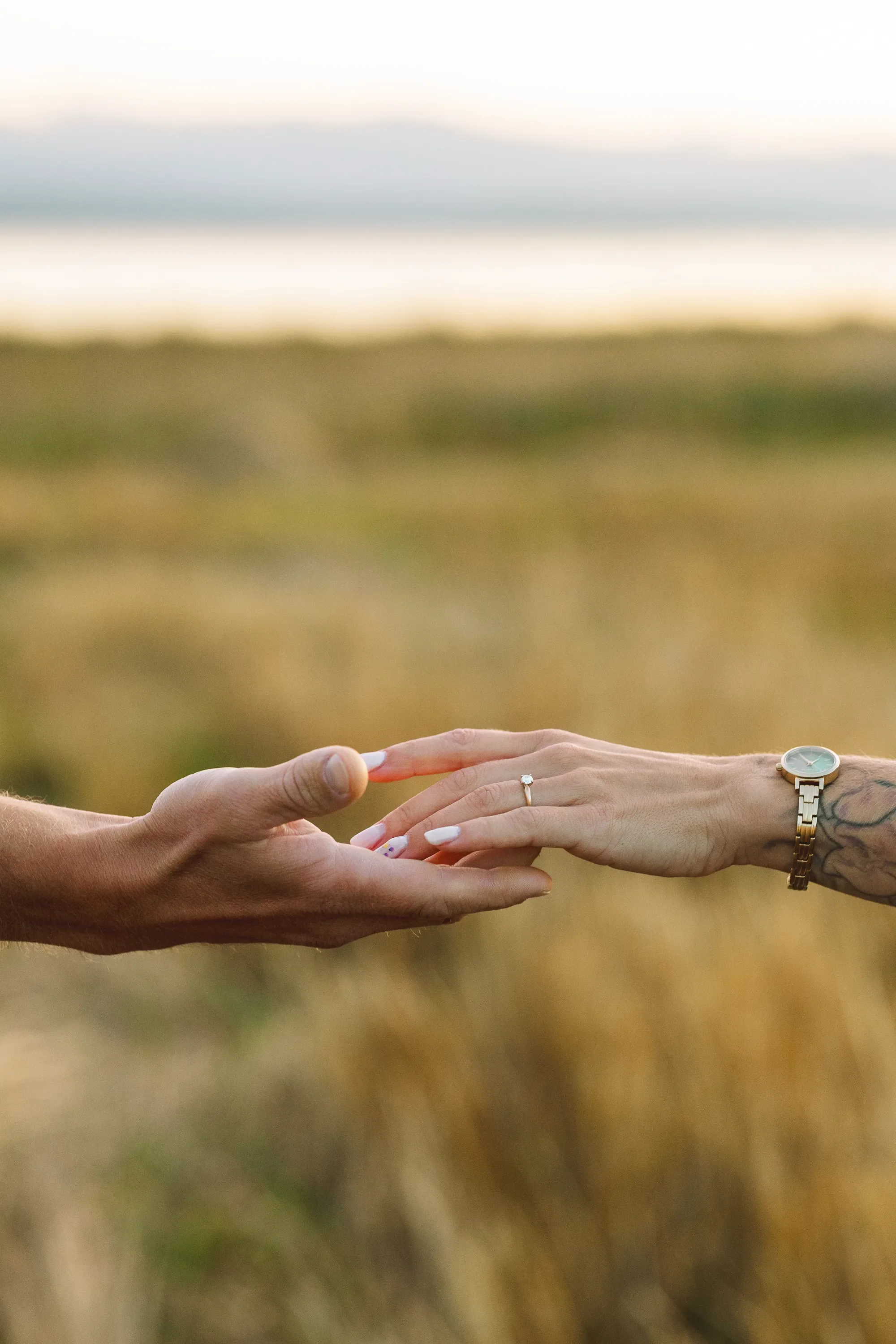 engagement-photoshoot-ebey's-landing-whidbey-island-10 (1).webp