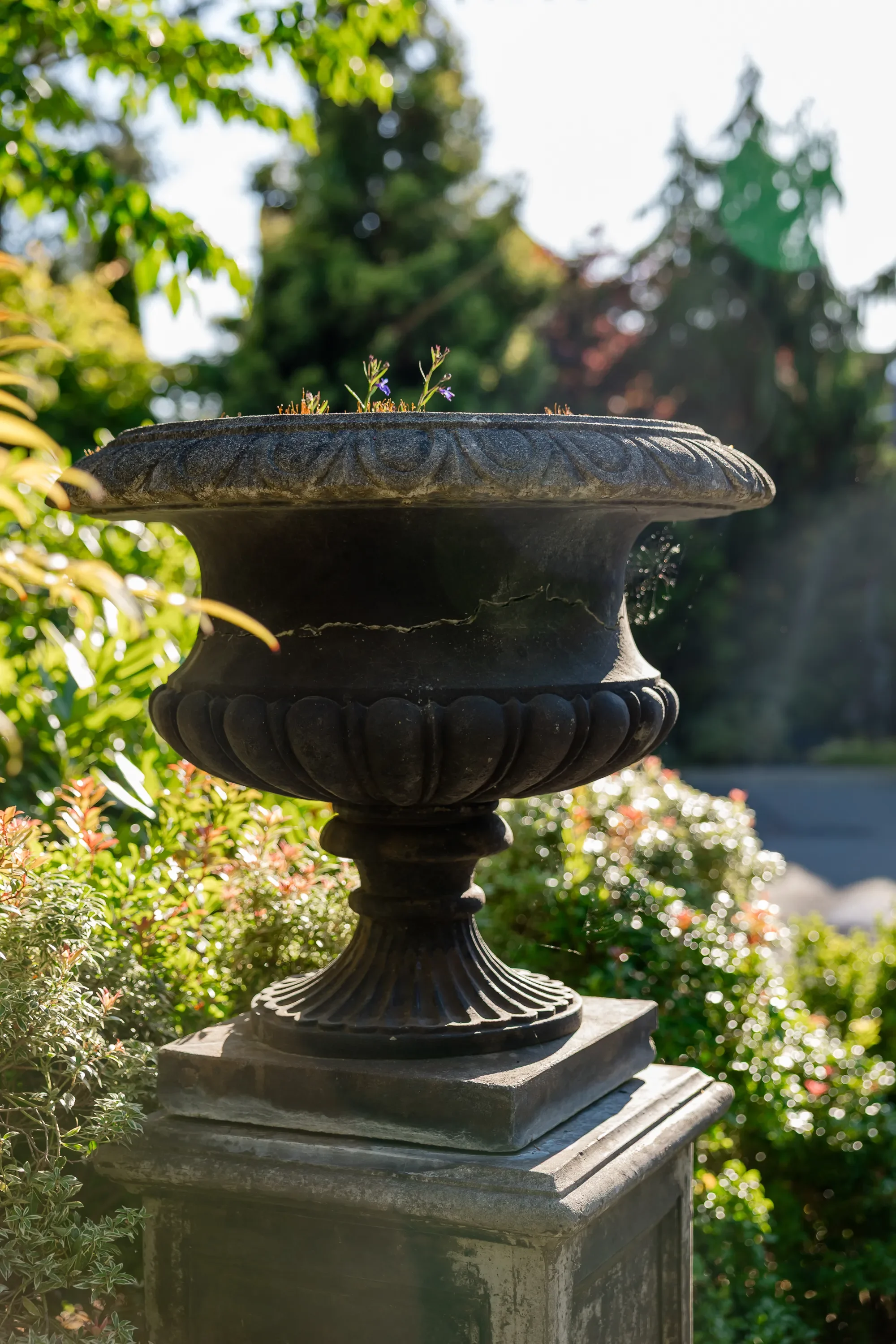 the-garden-at-the-pleasant-beach-bainbridge-island-7.webp