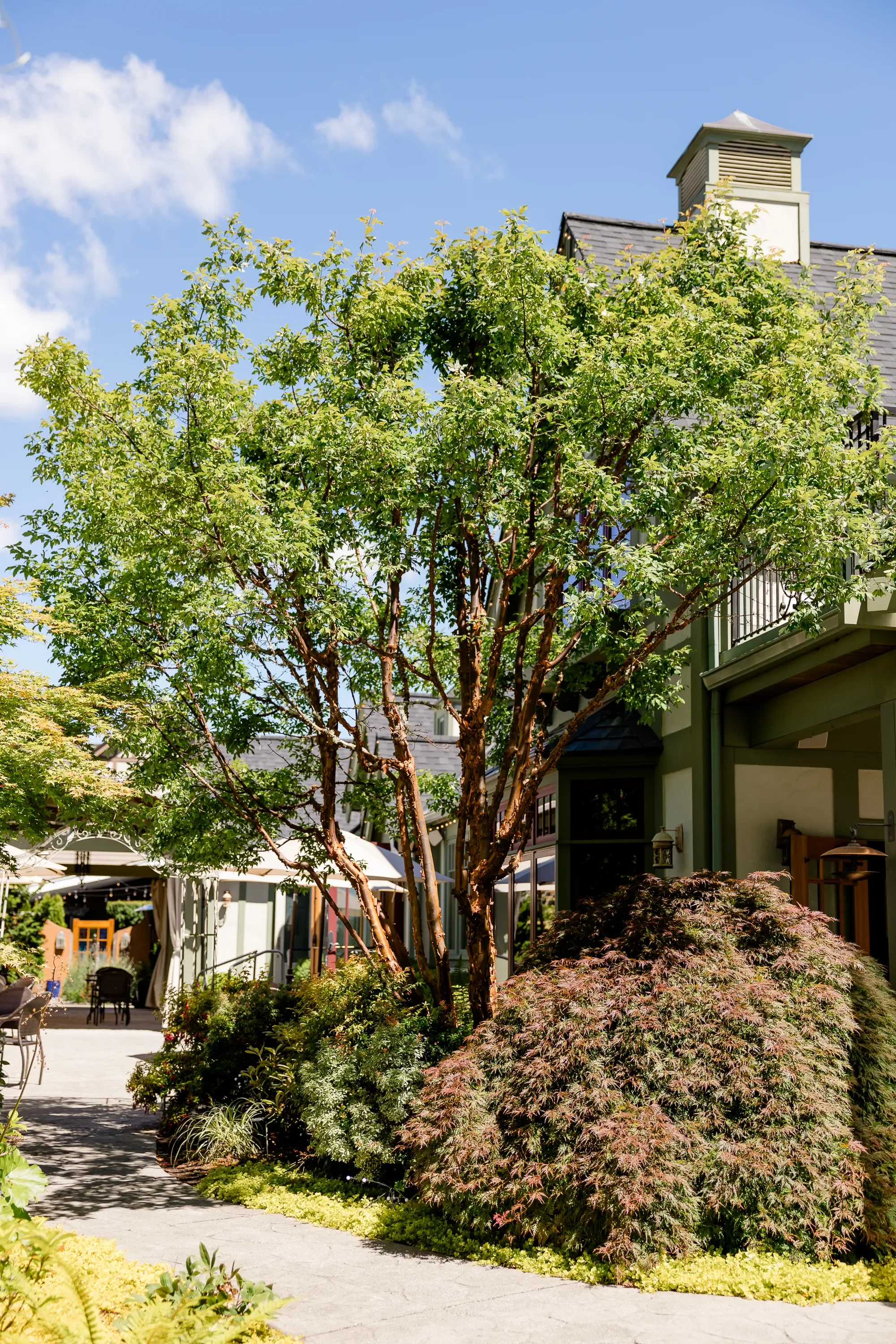 the-manor-house-wedding-venue-bainbridge-island-wa-61.webp