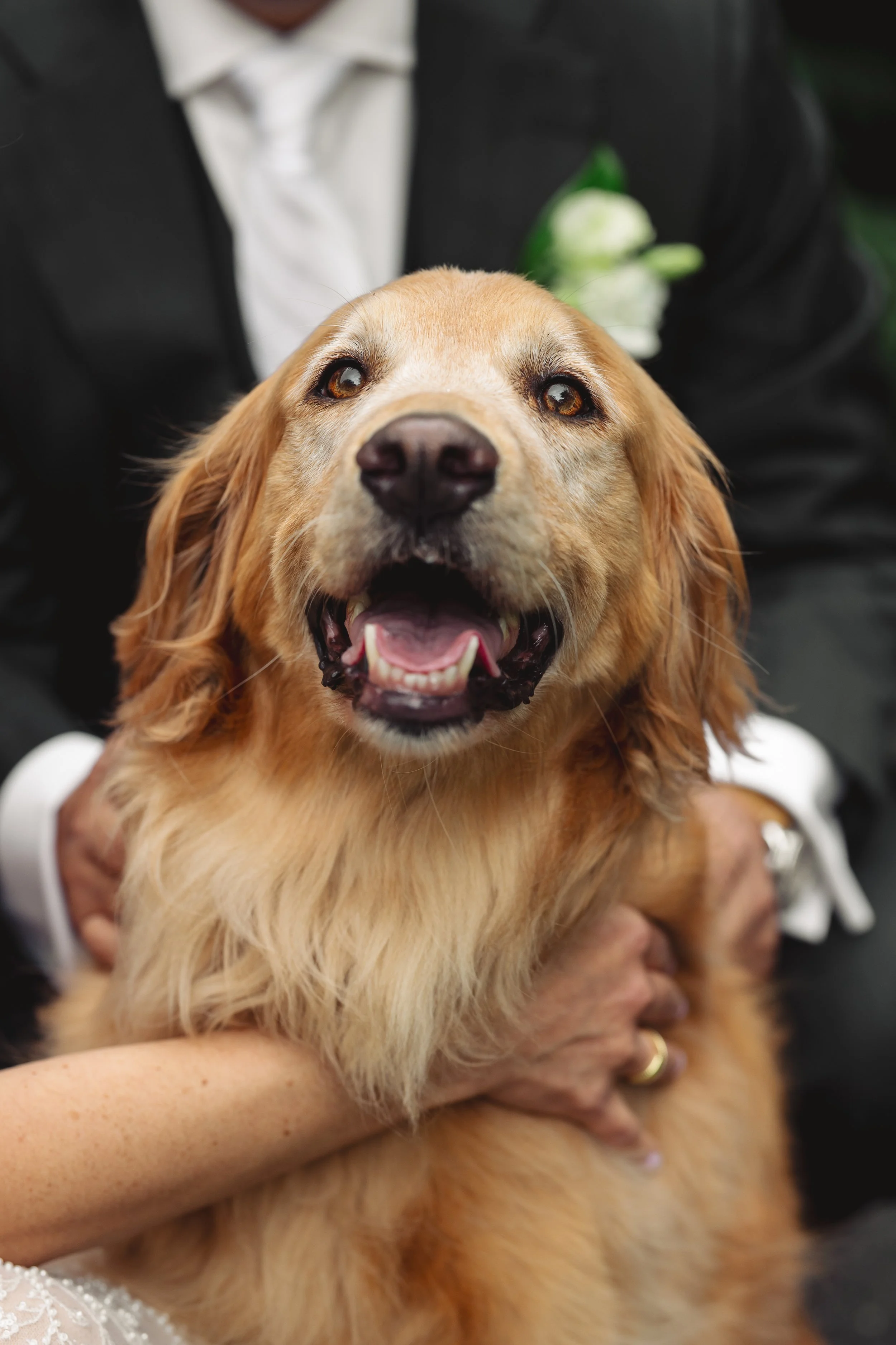 Wedding-Photos-at-Robinswood-House-Bellevue.jpg