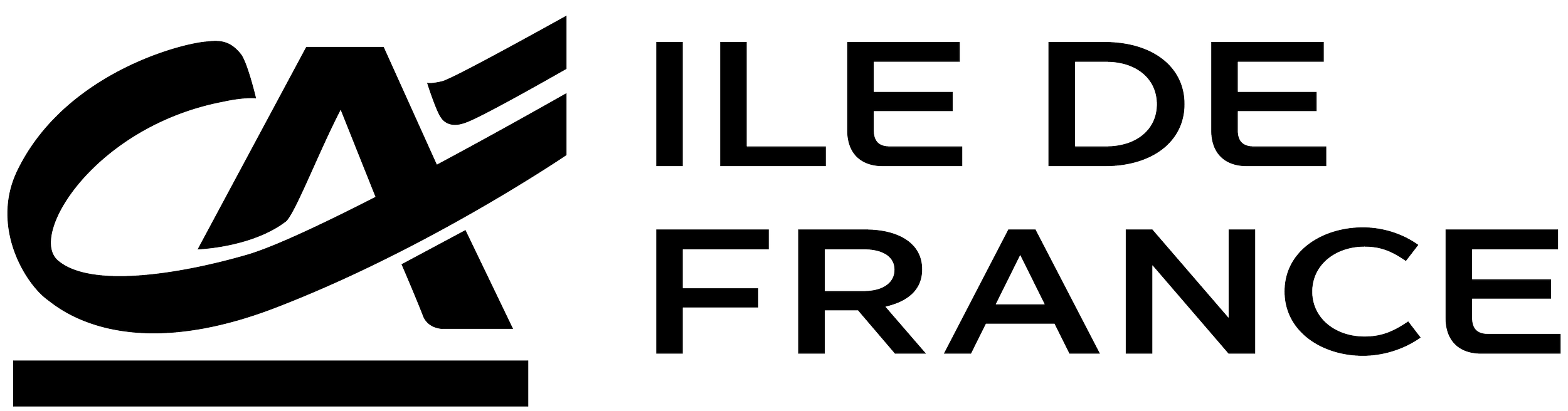 CAIDF noir.png