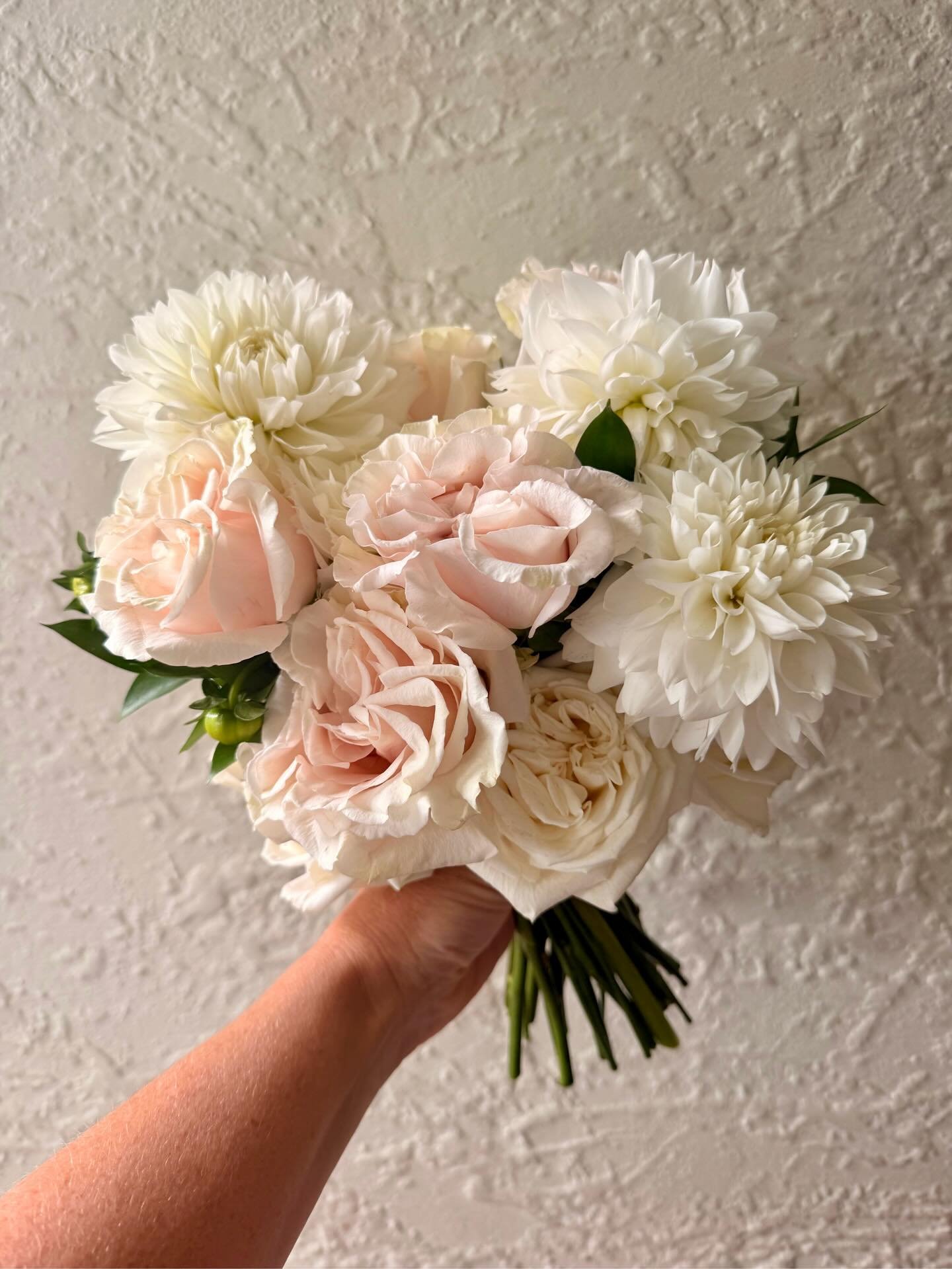 New rose obsession😍😍😍

Blush pink rose &lsquo;Cotton Expression&rsquo; is my new found favourite!

I discovered this stunner by accident when I had to sub another rose variety that didn&rsquo;t come in. Again just rolling with it and loving the ma