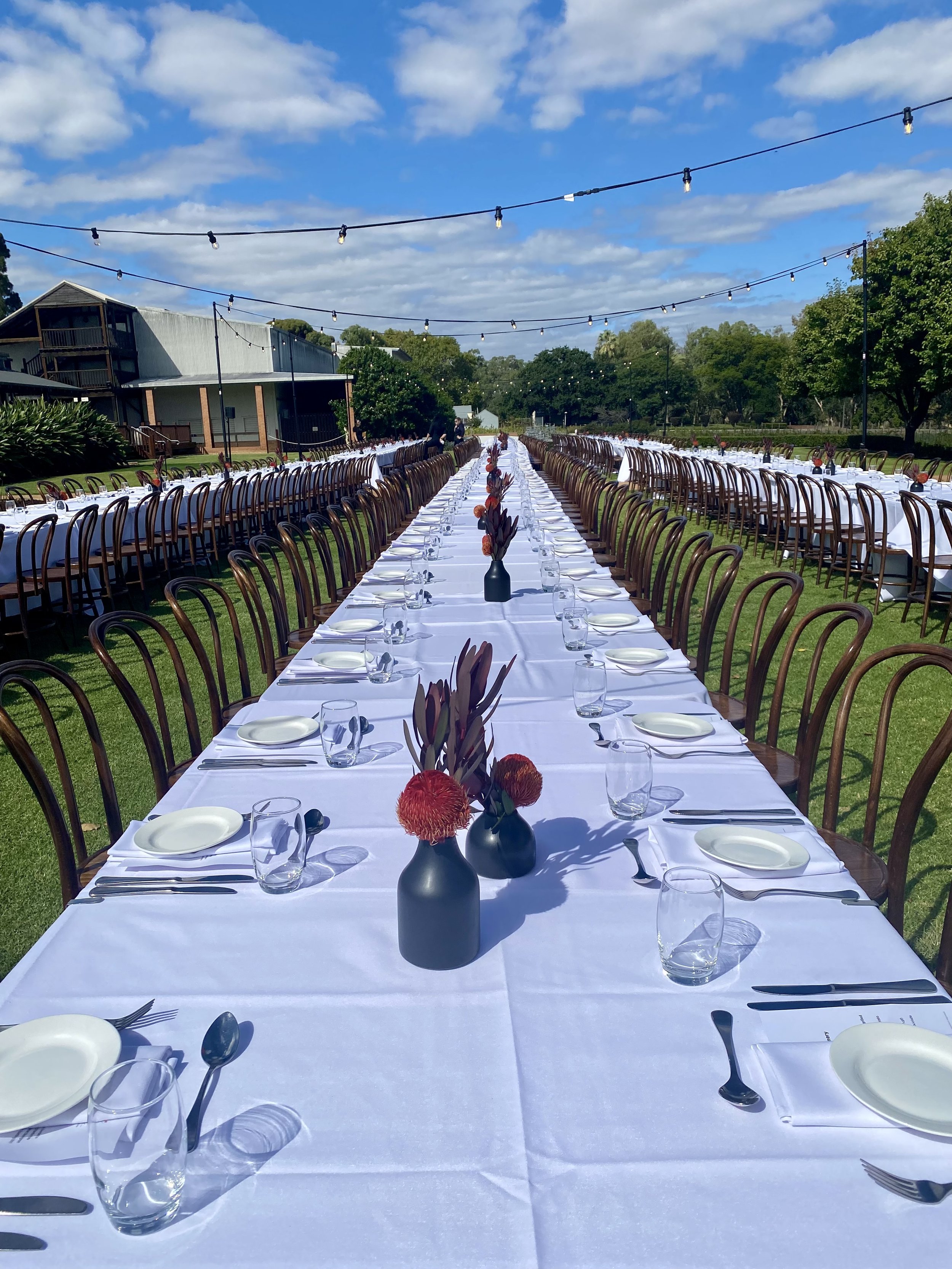 Sandalford Winery red and Black bud vases.jpg