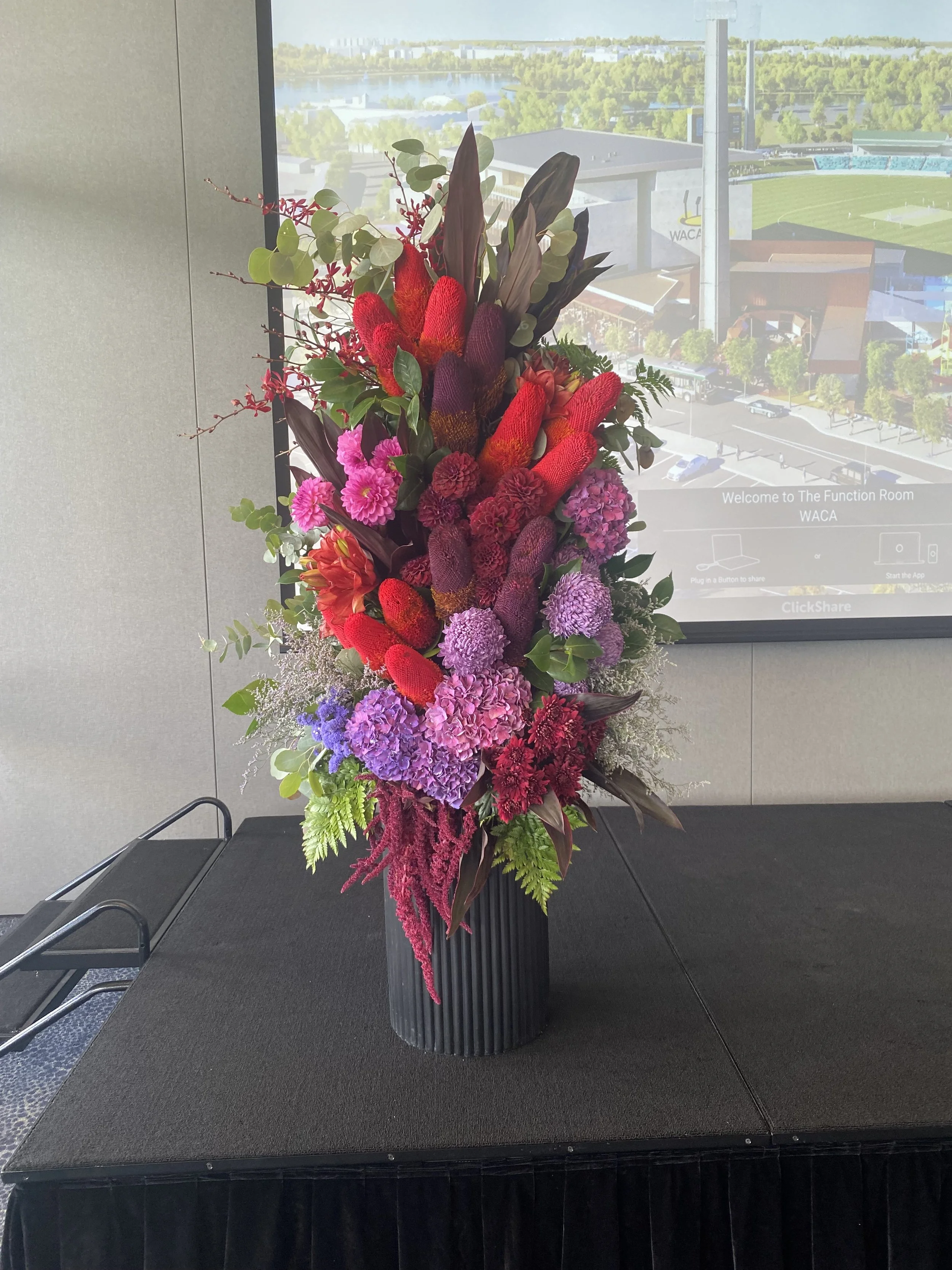 Vibrant Banksia Flower tower WACA.jpg