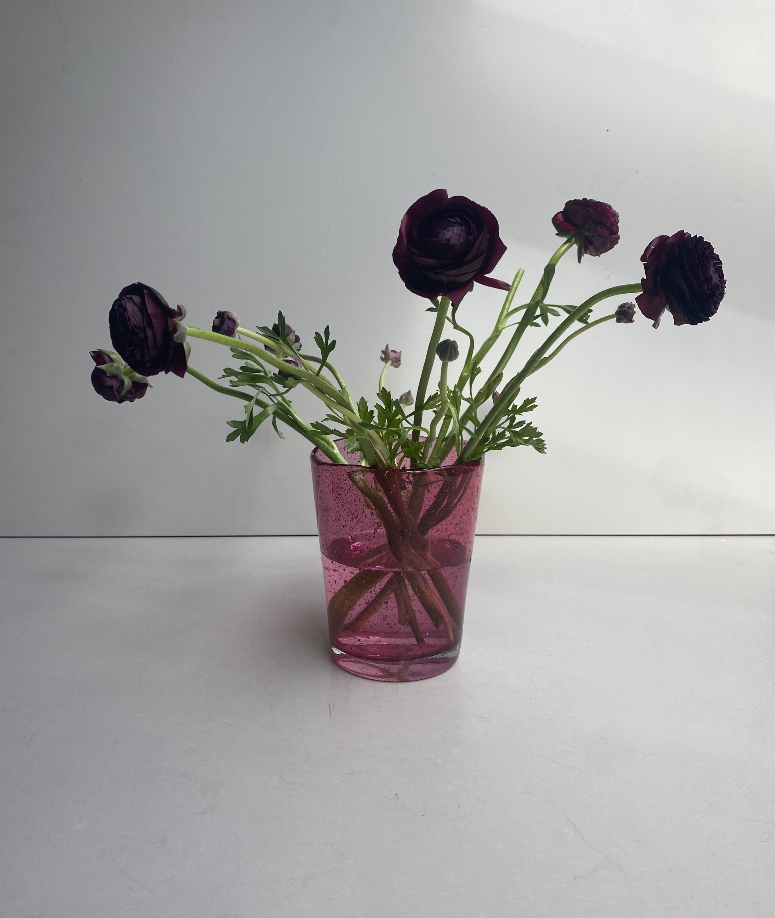 IMG_3168.jpeg