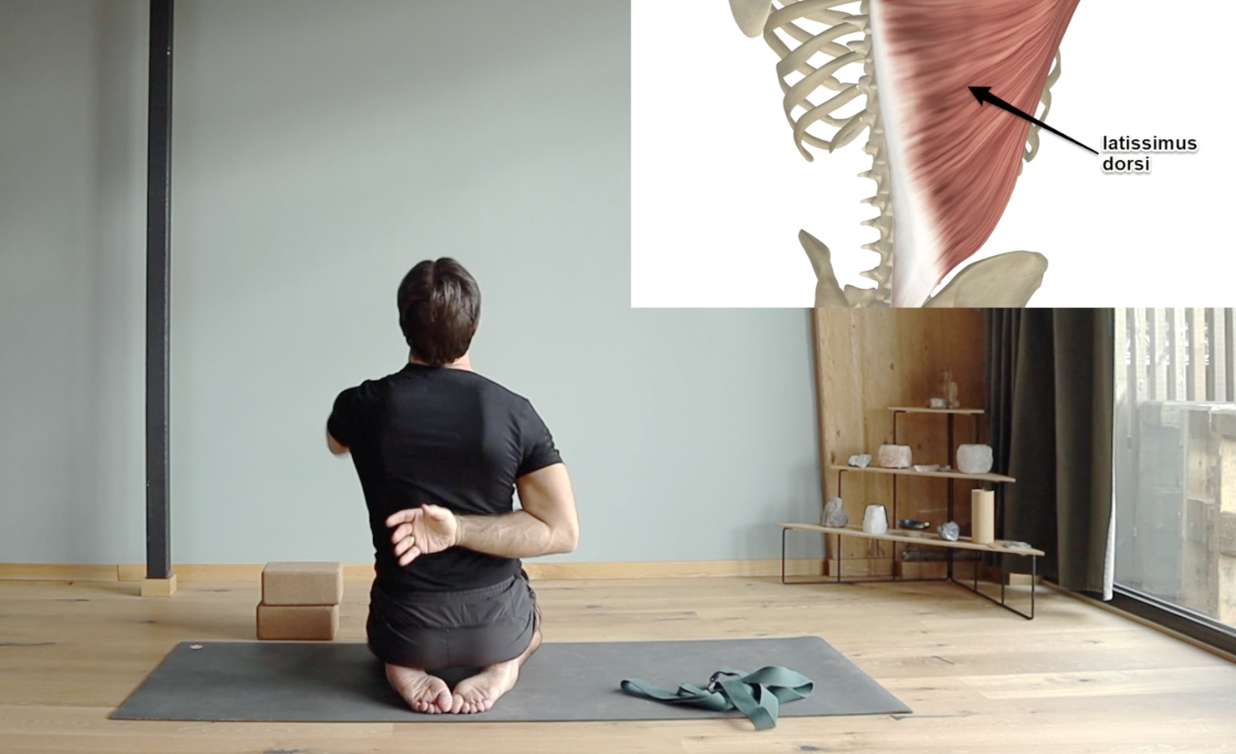 Shoulder pain reaching backward