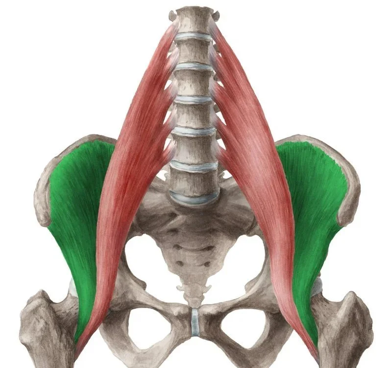 Accessing the hip flexors in back bends