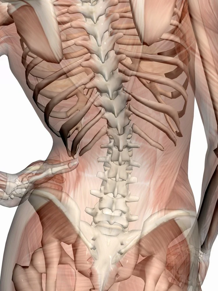 ‘Why do I keep having back pain?’