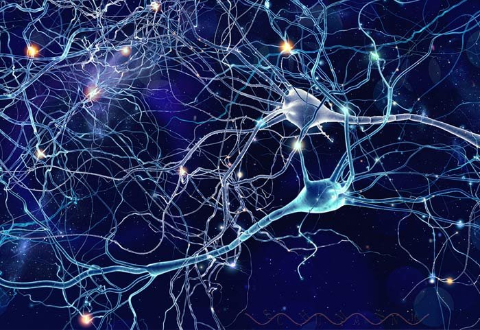 How Yoga affects our brainwaves