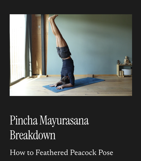 How to Pincha