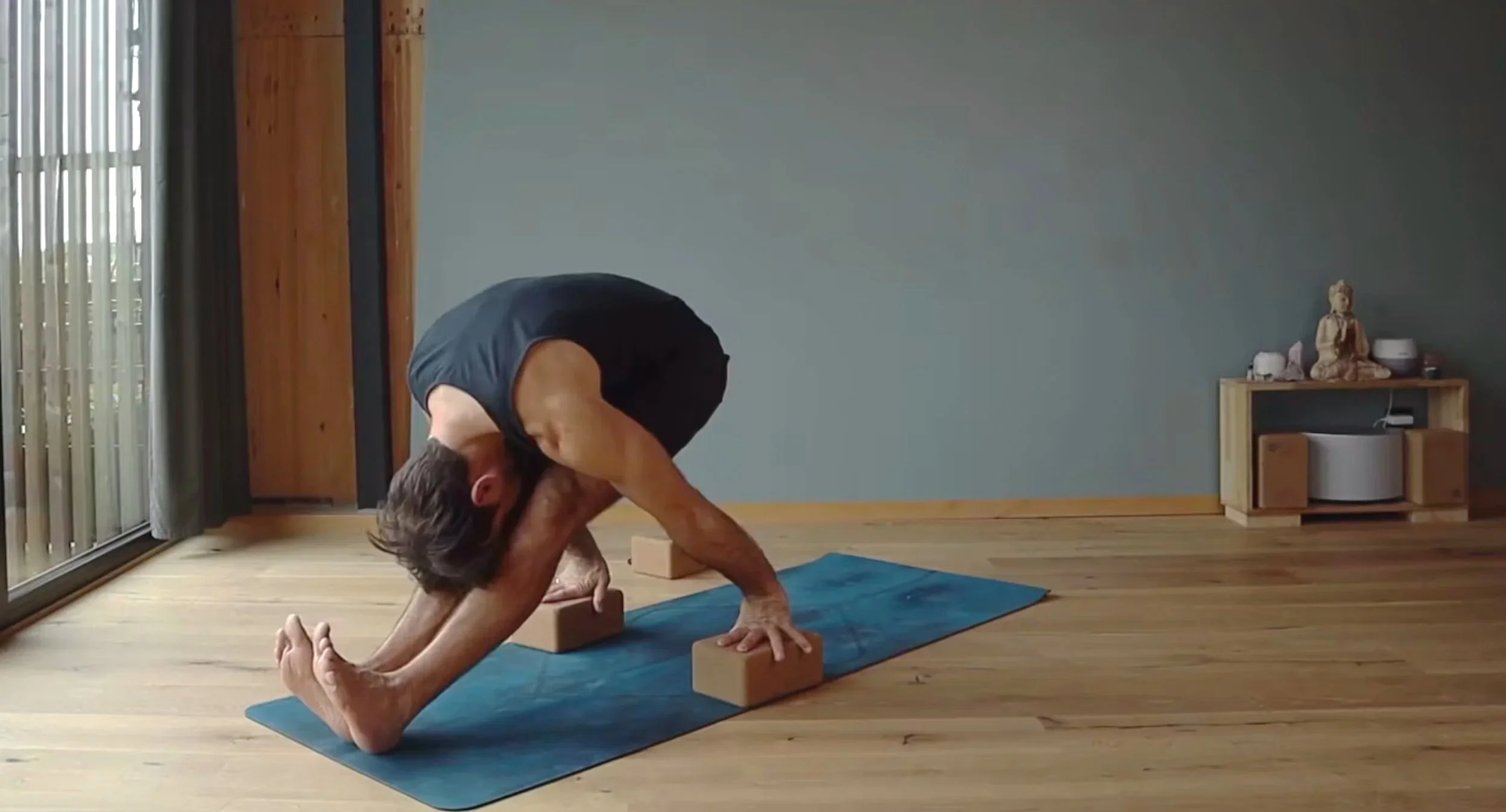 ashtanga yoga jump back drills