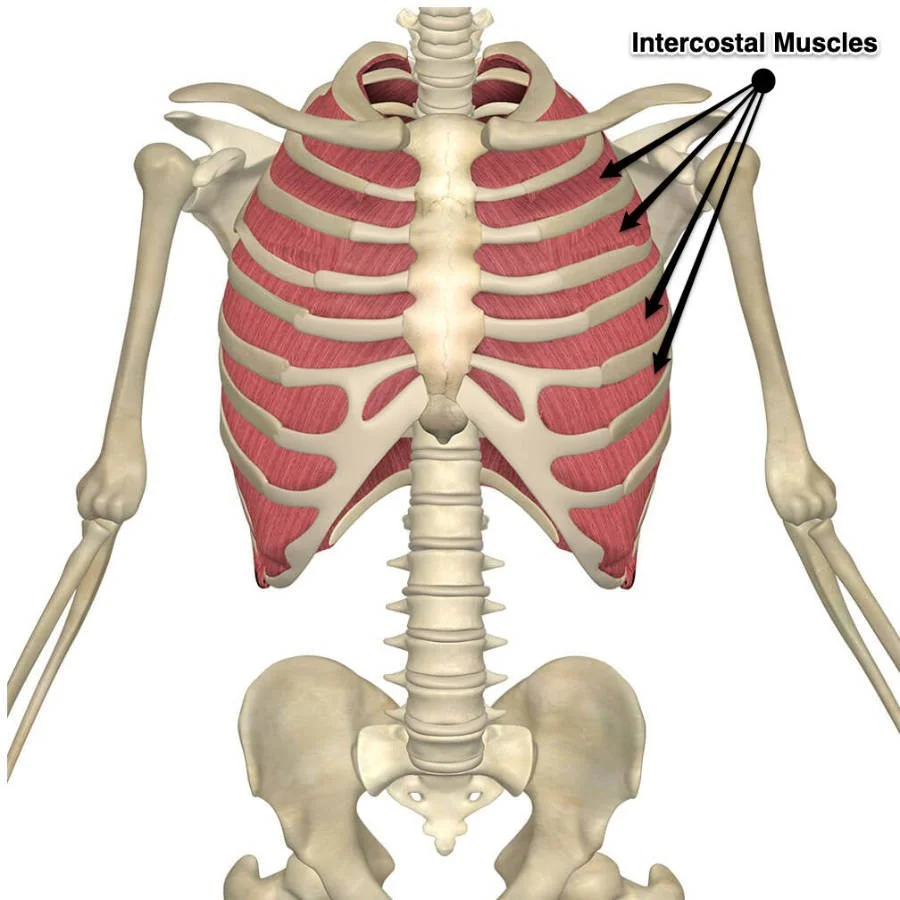 Stiff back bends