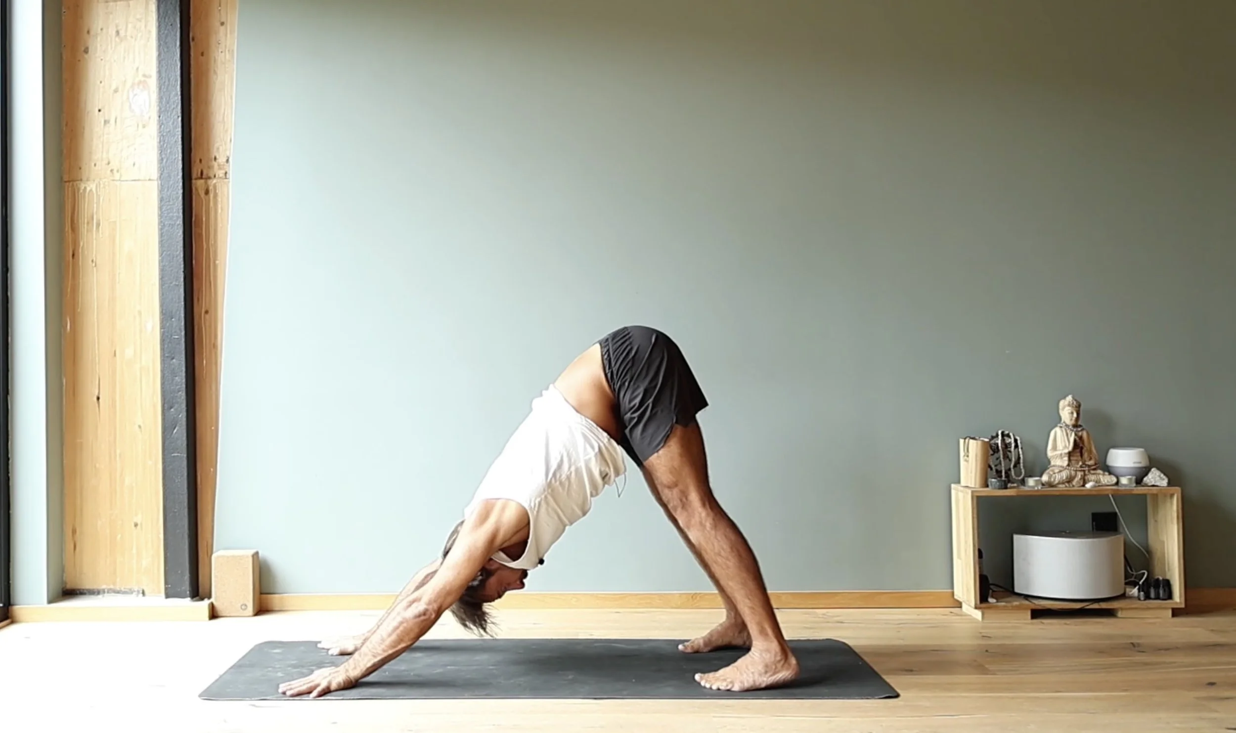 Adho Mukha Śvānāsana