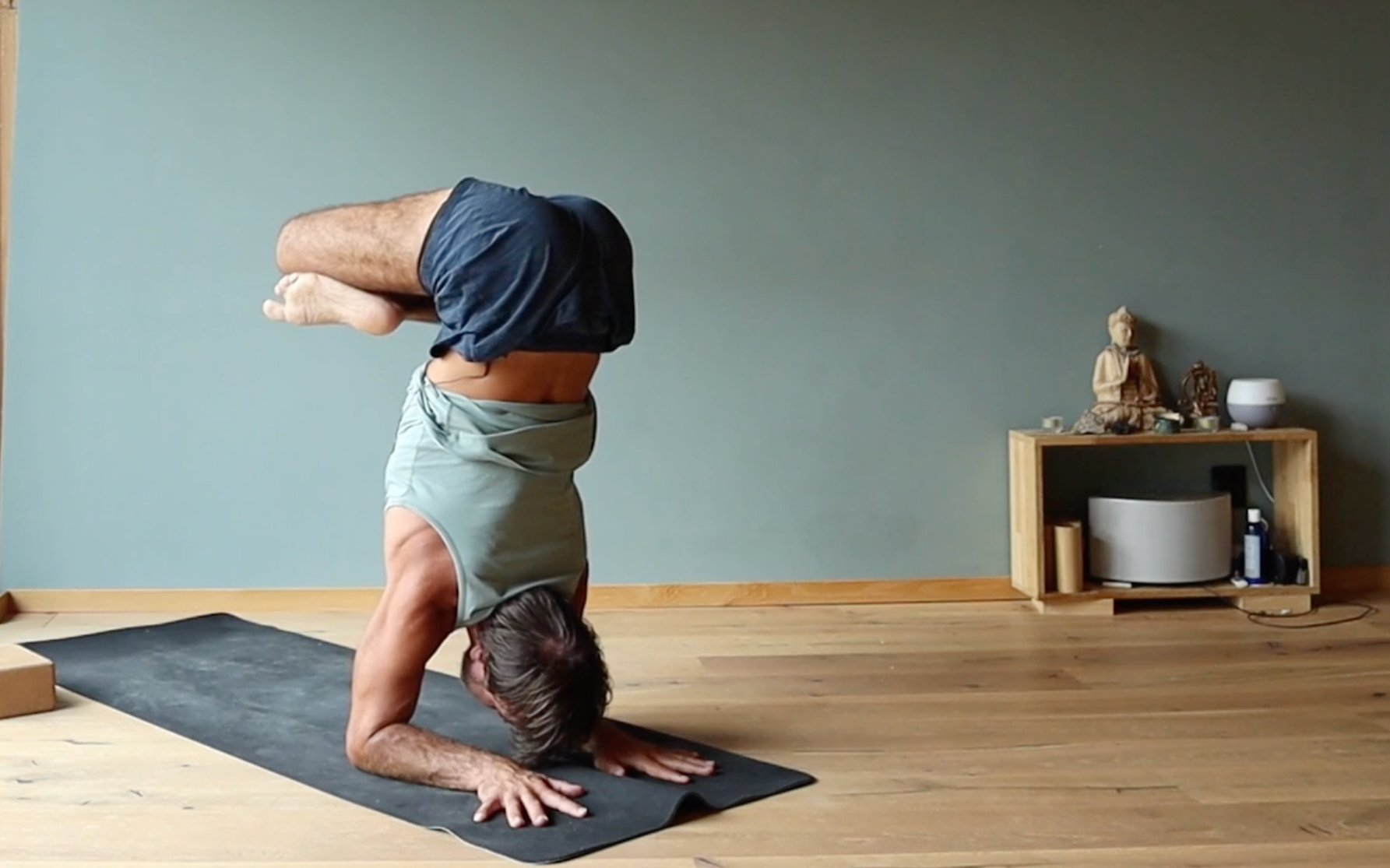Vinyas yoga ytt