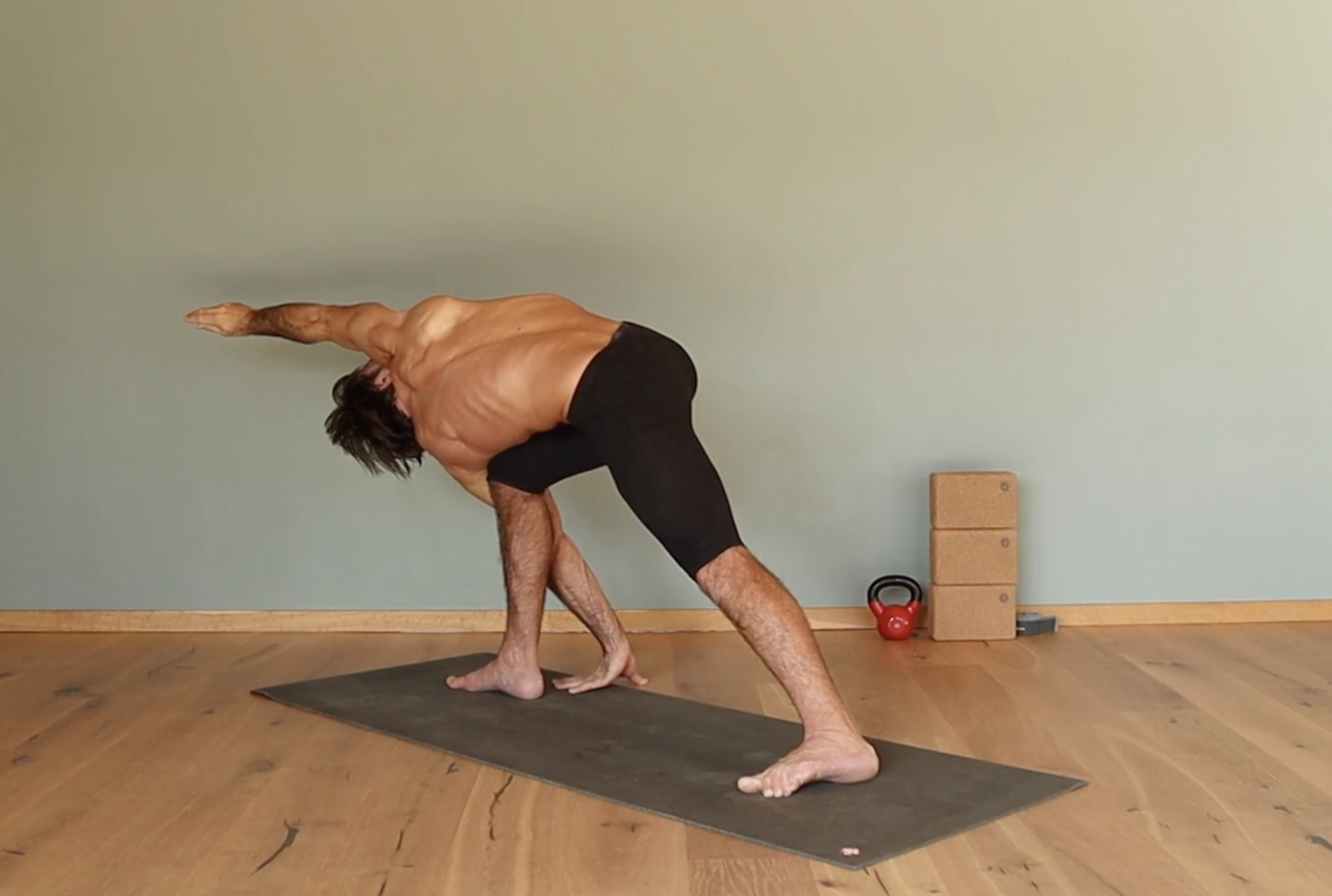 Parivrtta Parsvakonasana