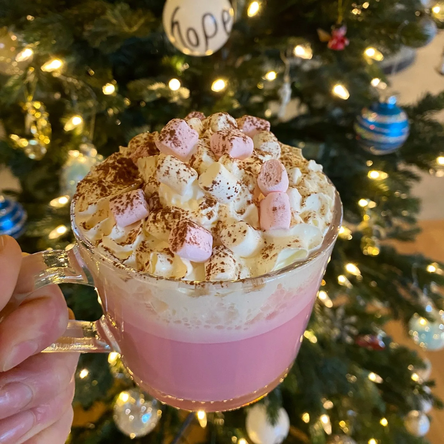 Hot chocolates aren&rsquo;t just for Christmas but they certainly go hand in hand 🙌 

We&rsquo;ve got lots of varieties for you to pick from!