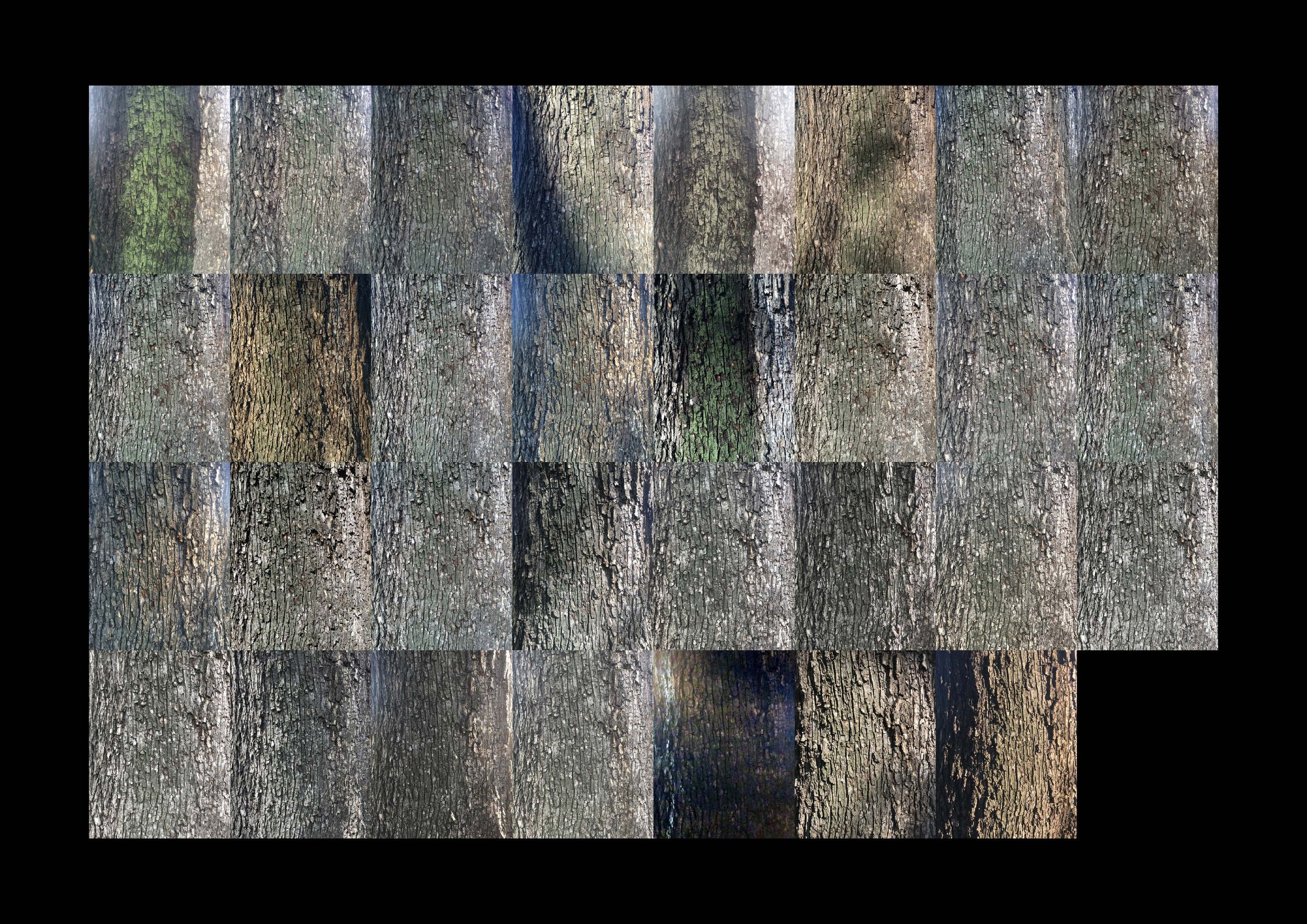 April 16_comparisons_A3_Page_01.jpg