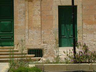 A stone building wall with a green door, green shutters, and some plants in front.