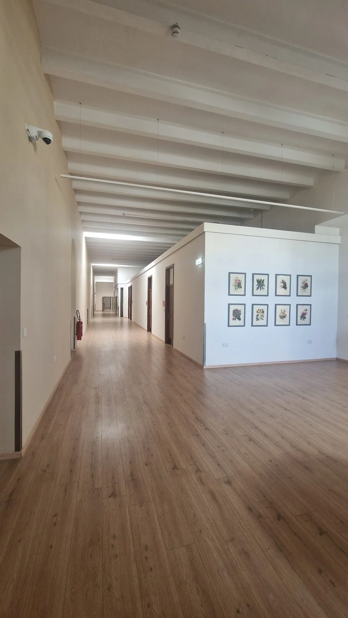 Long hallway in a building with wooden flooring, beige walls, and a white ceiling with exposed beams. There are framed botanical prints on the right wall, cameras on the left wall, and a fire extinguisher near the front.
