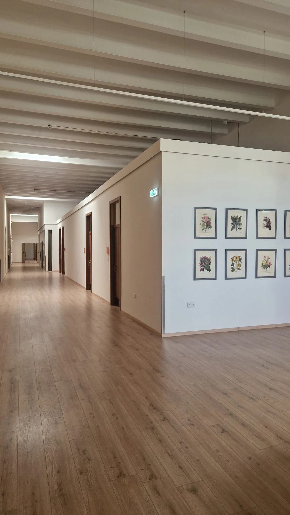 A long hallway with wooden flooring, white walls, and several closed doors. There is wall art with floral prints on one wall and ventilation ducts on the ceiling.