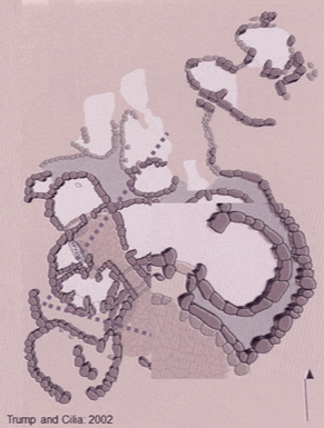 Diagram of human chromosomes from the 2002 Trump and Cilia study.