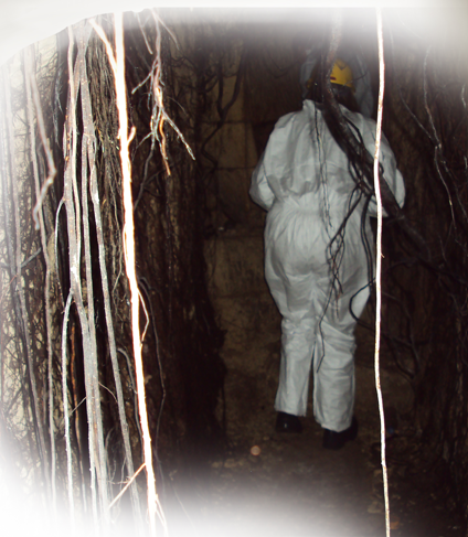Person in protective white suit and yellow helmet walking through a narrow, dark underground tunnel with hanging roots or vines on the sides.