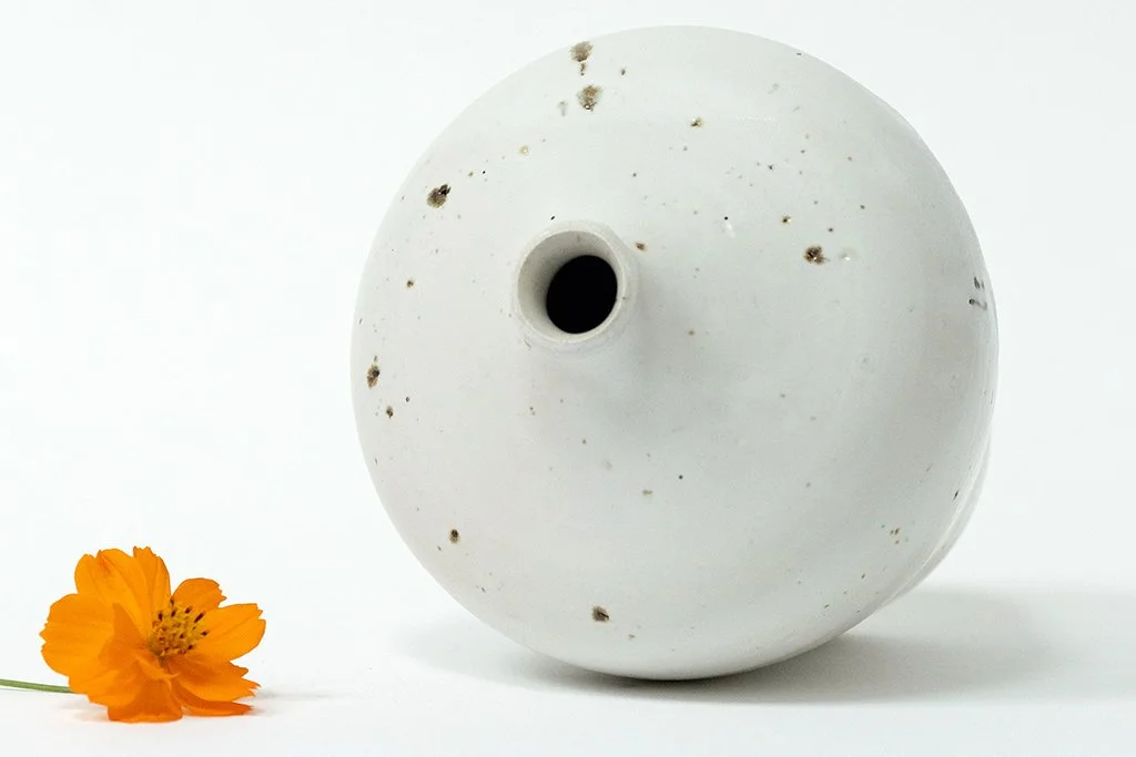 Vases animés