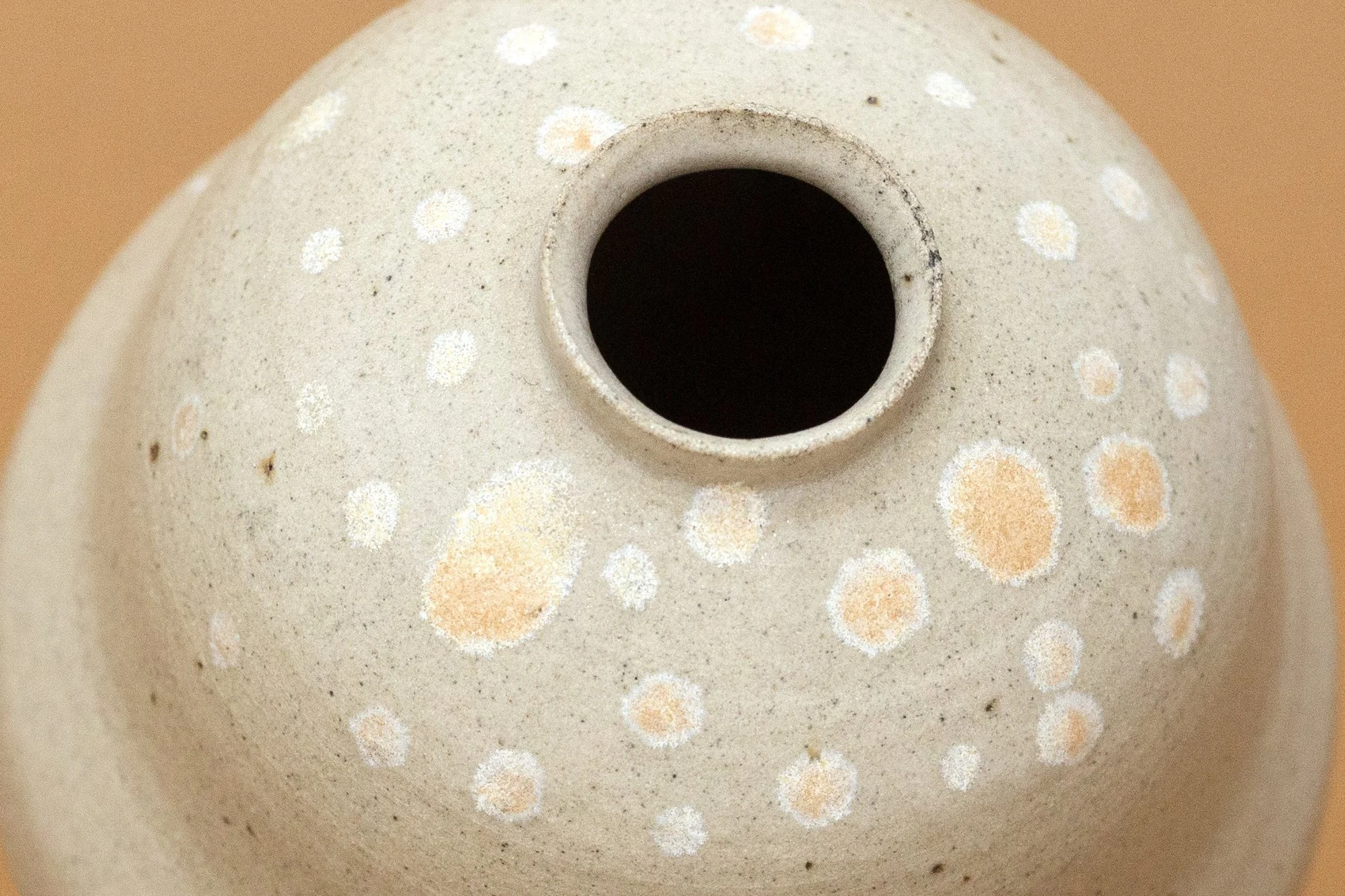 IMG_8168 copie-ZOOM.jpg