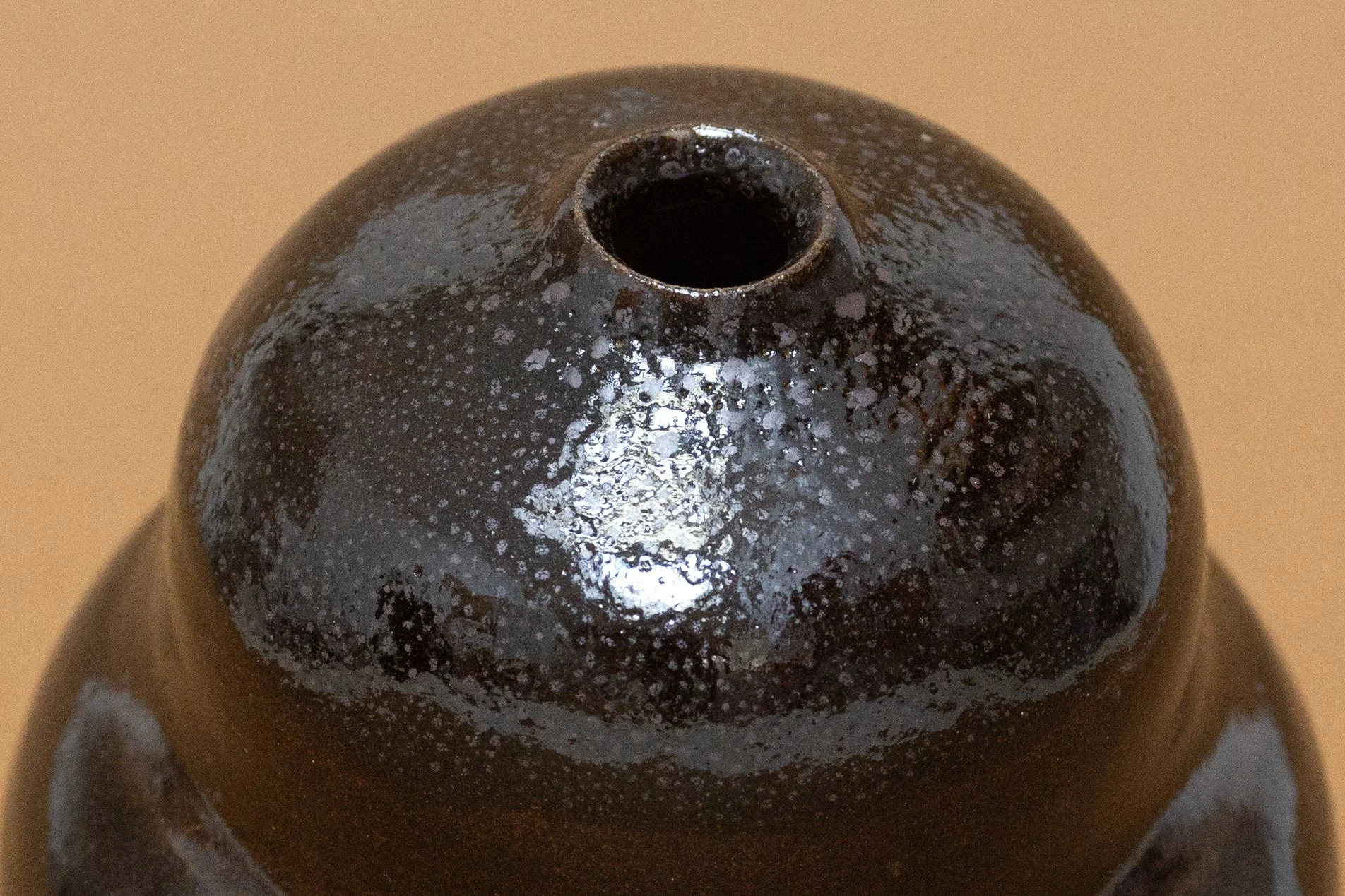 IMG_8164 copie-zoom.jpg