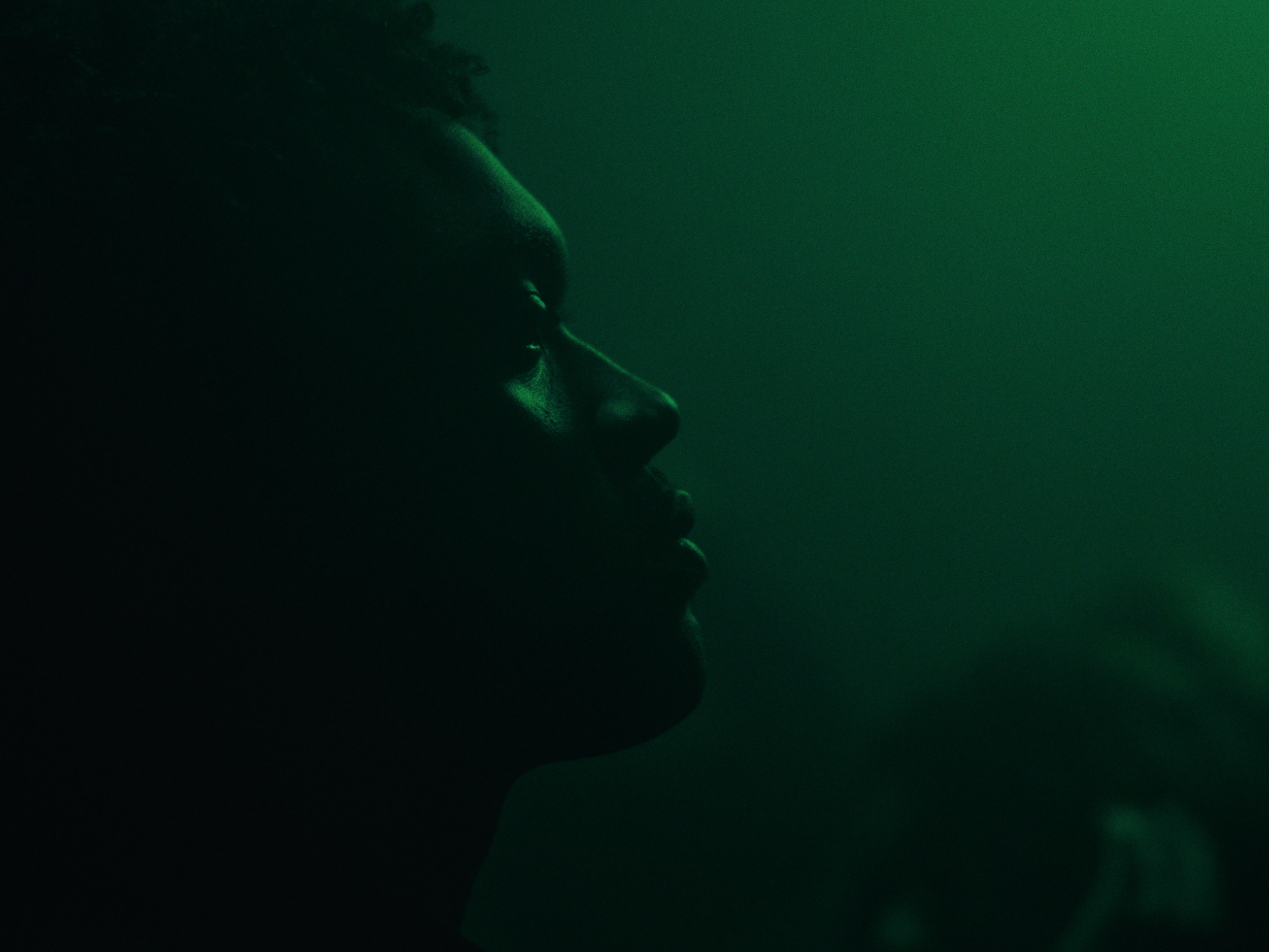 Still 2025-02-12 101350_1.31.1.PNG