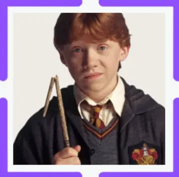 The Harry Potter Franchise Is Dead To Me