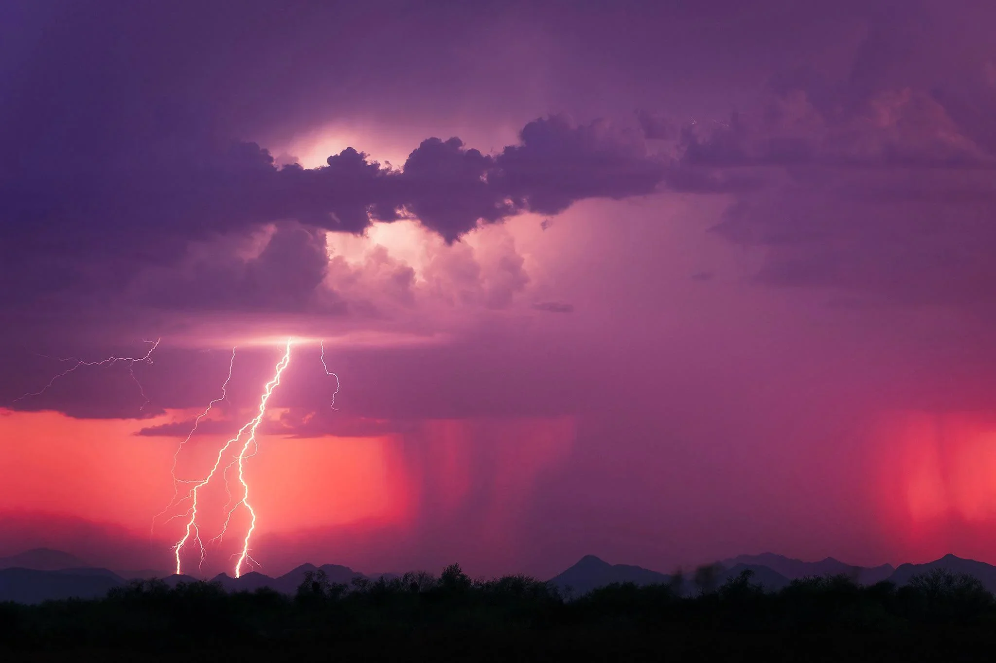 Transmutar el dolor en sabiduría