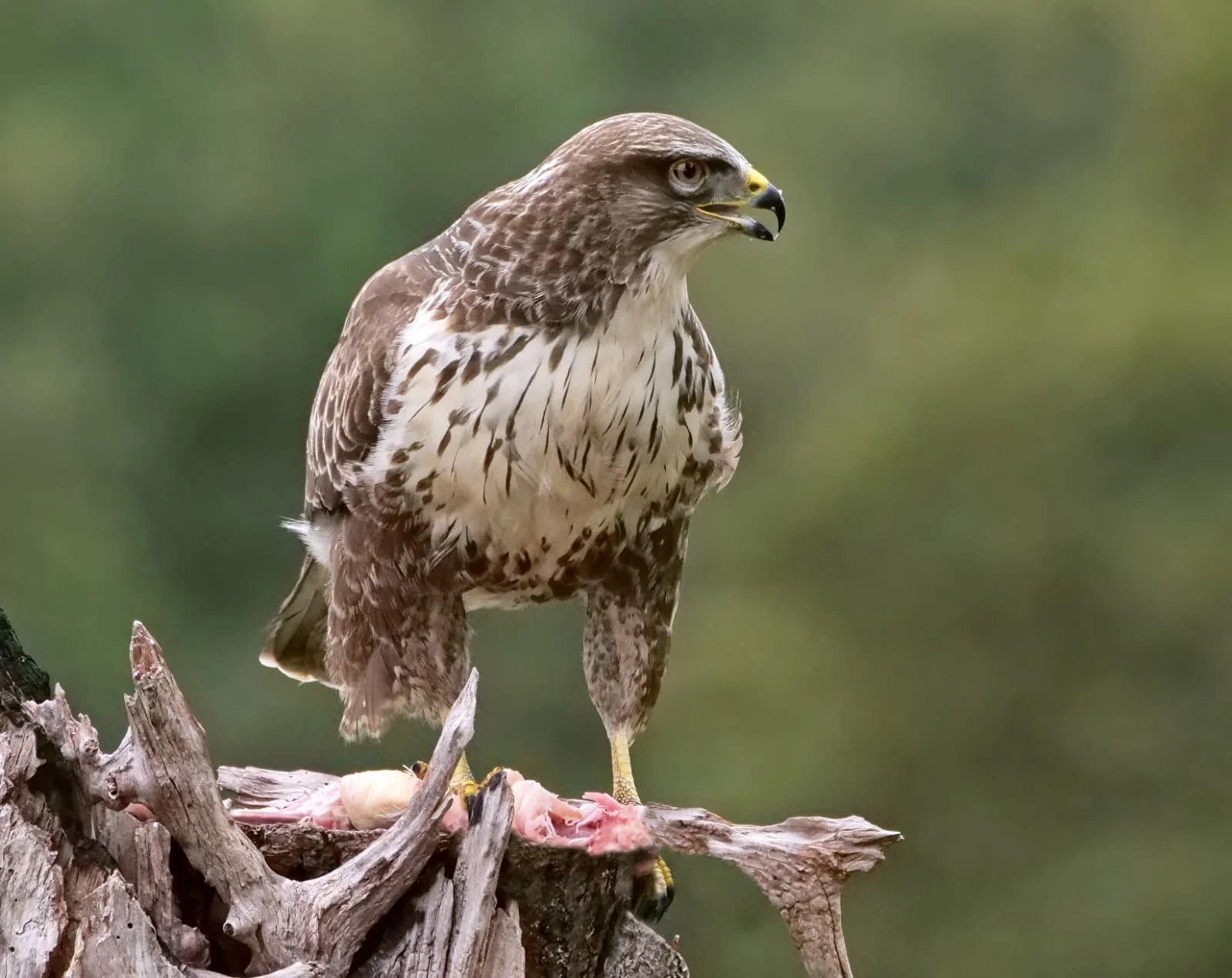 WhatsApp Image 2025-12-05 at 13.29.42(2).jpeg