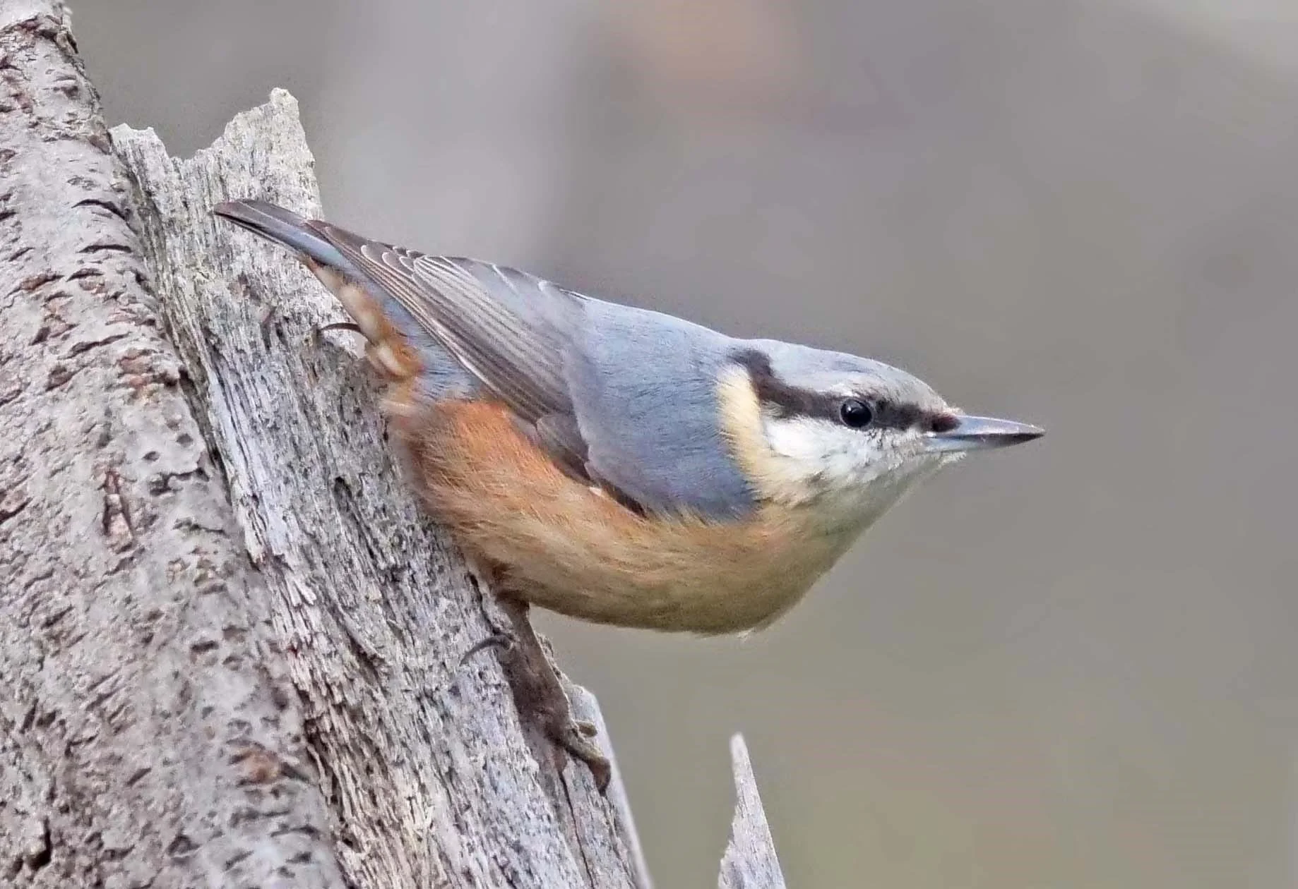 WhatsApp Image 2025-12-05 at 13.29.42(1).jpeg