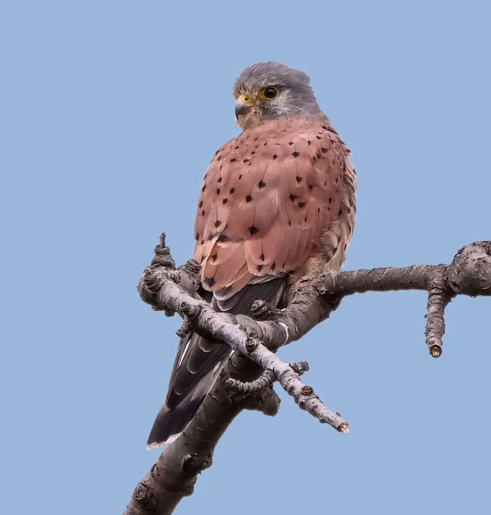 WhatsApp Image 2025-12-05 at 13.29.42.jpeg