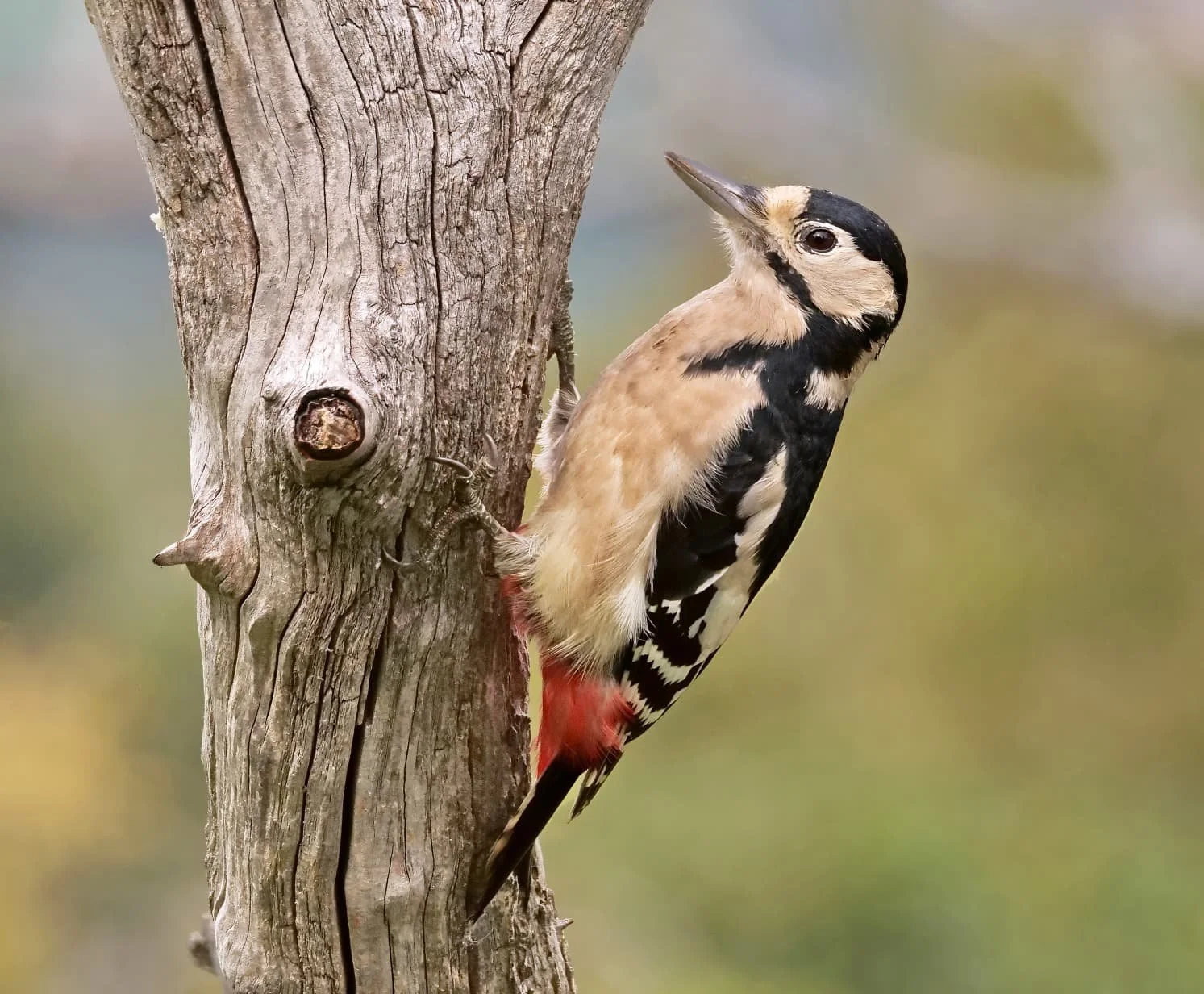 WhatsApp Image 2025-12-05 at 13.29.41.jpeg