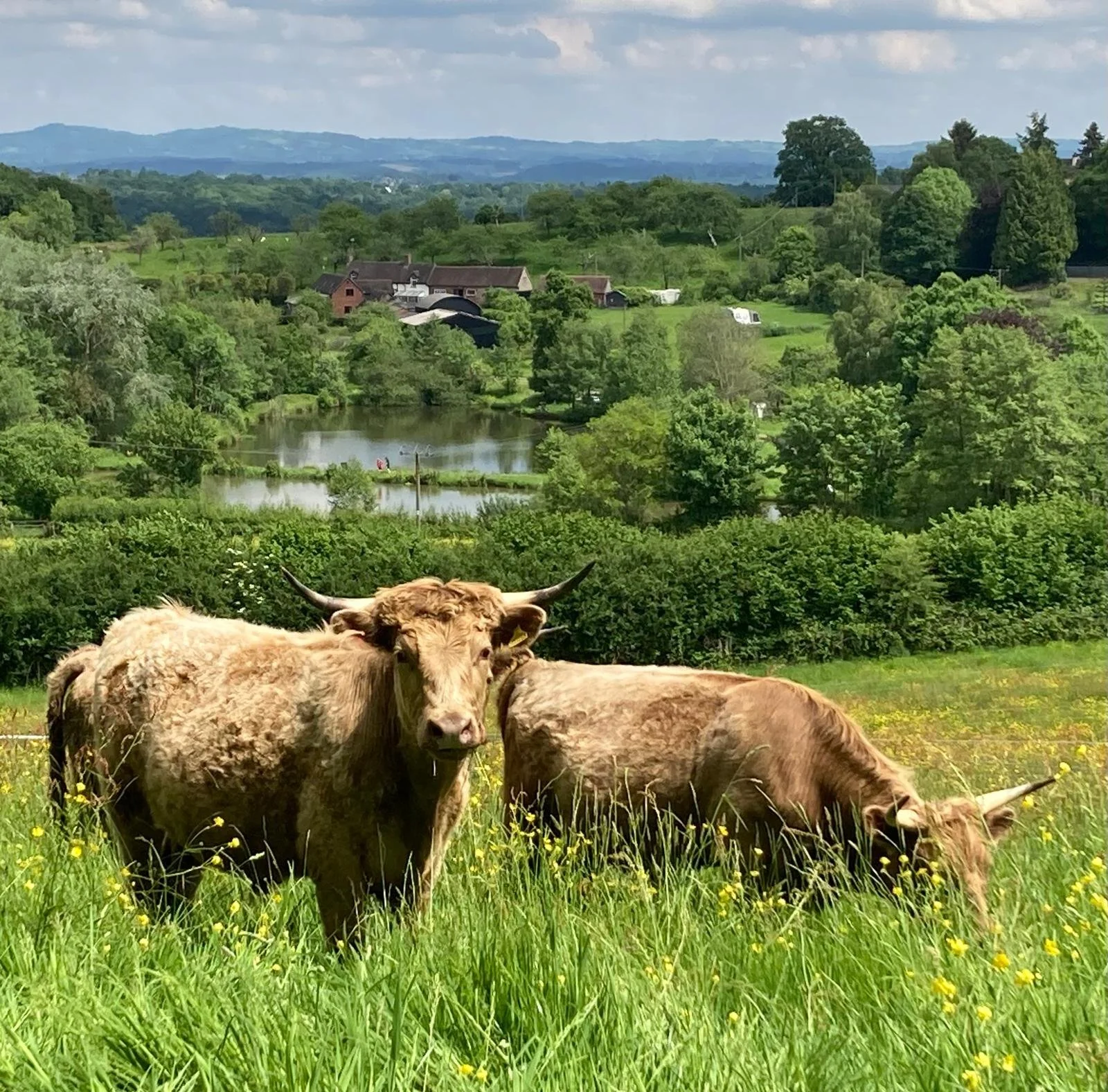 Summer Newsletter